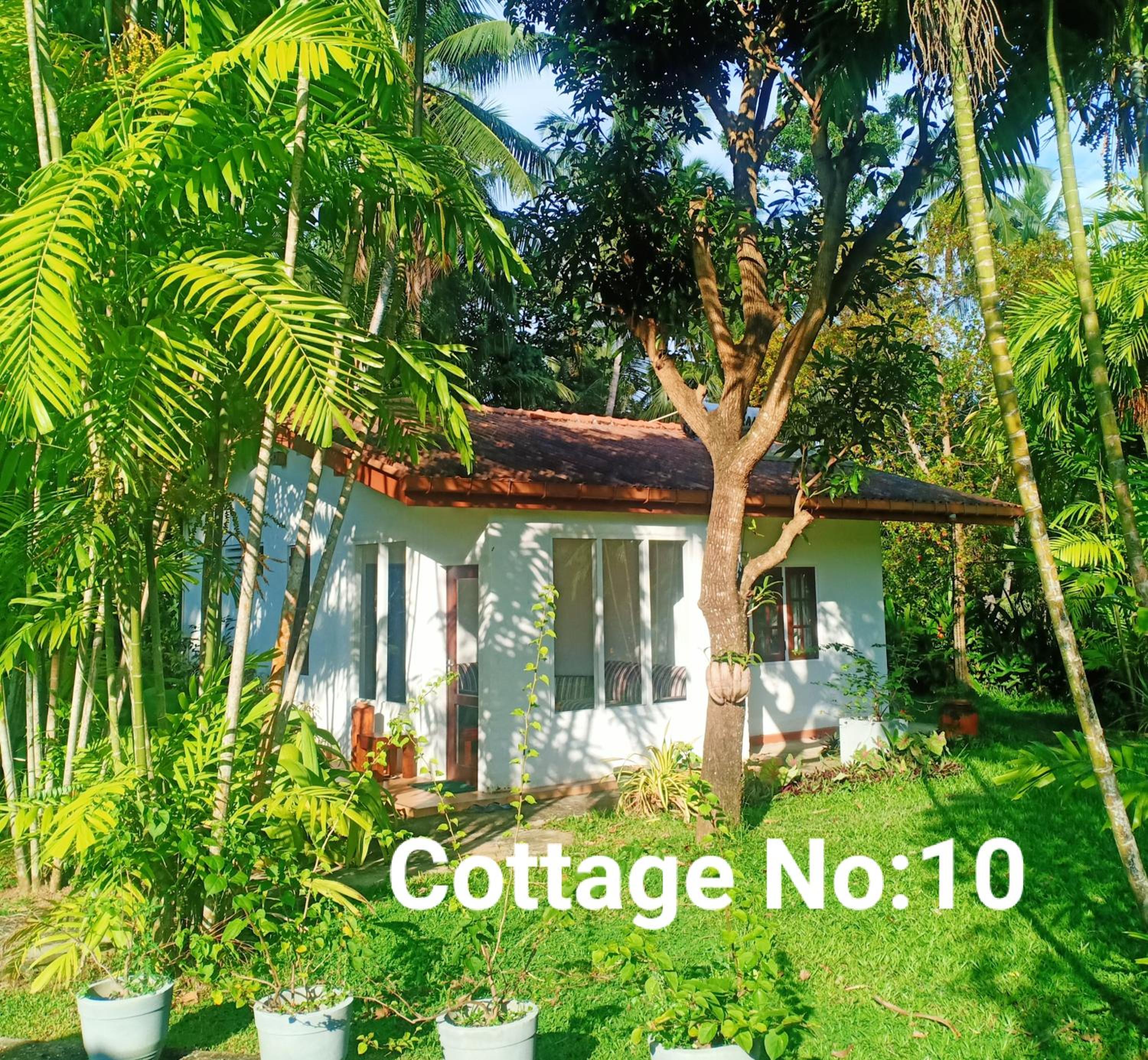 Deluxe family Room ( Cottage 10 ) photo 2