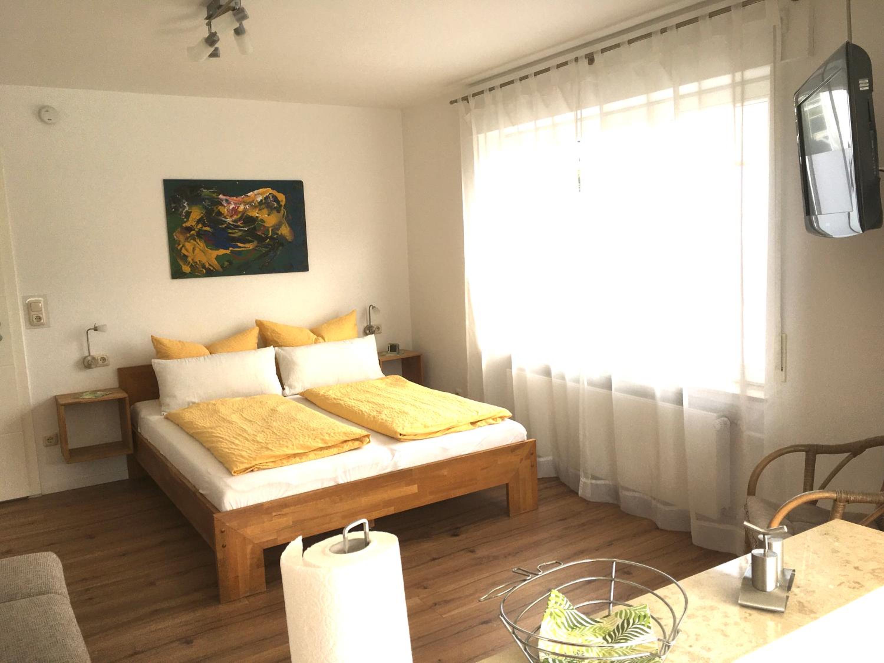 Studio with Terrace