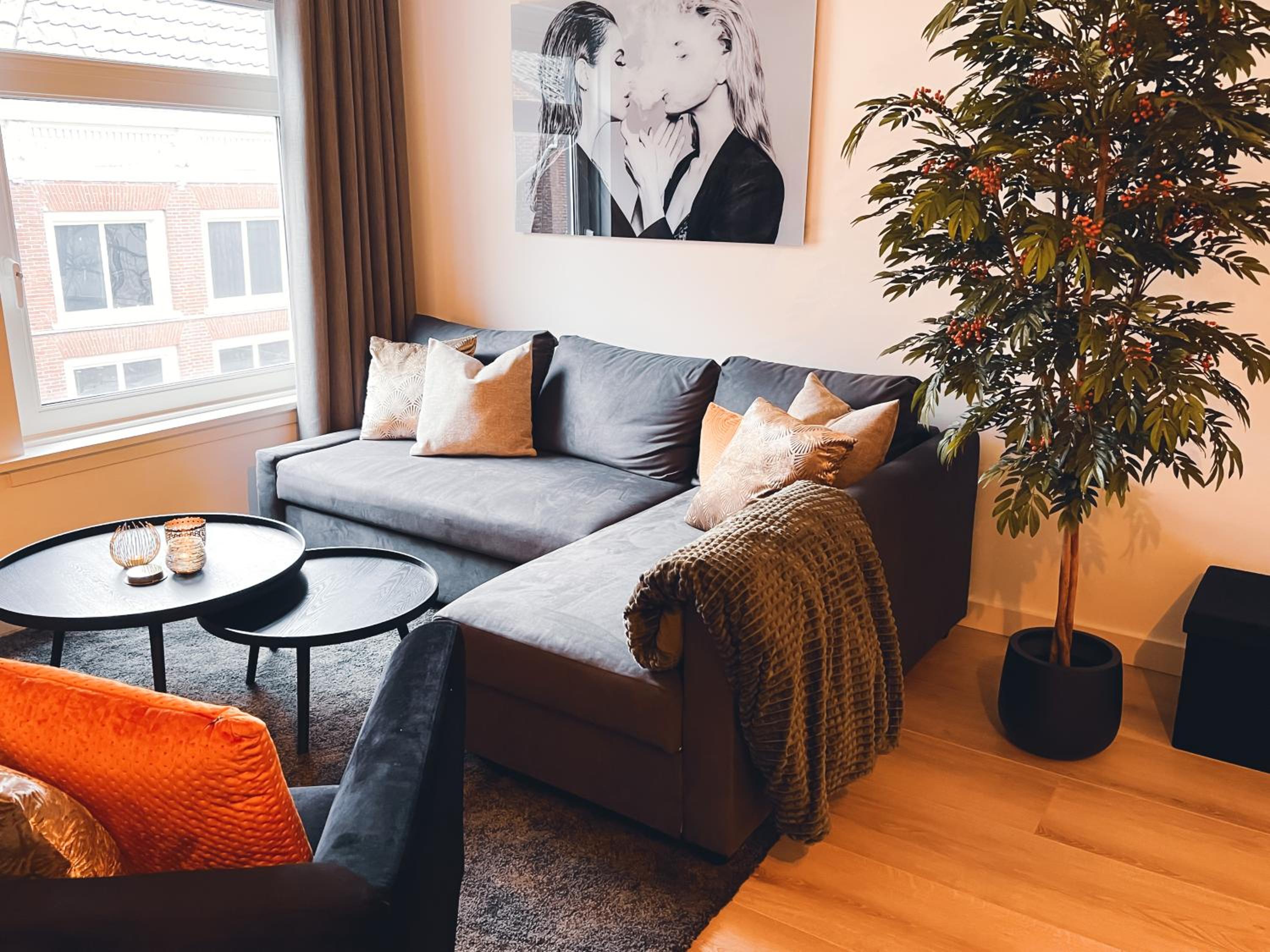Deluxe Apartment