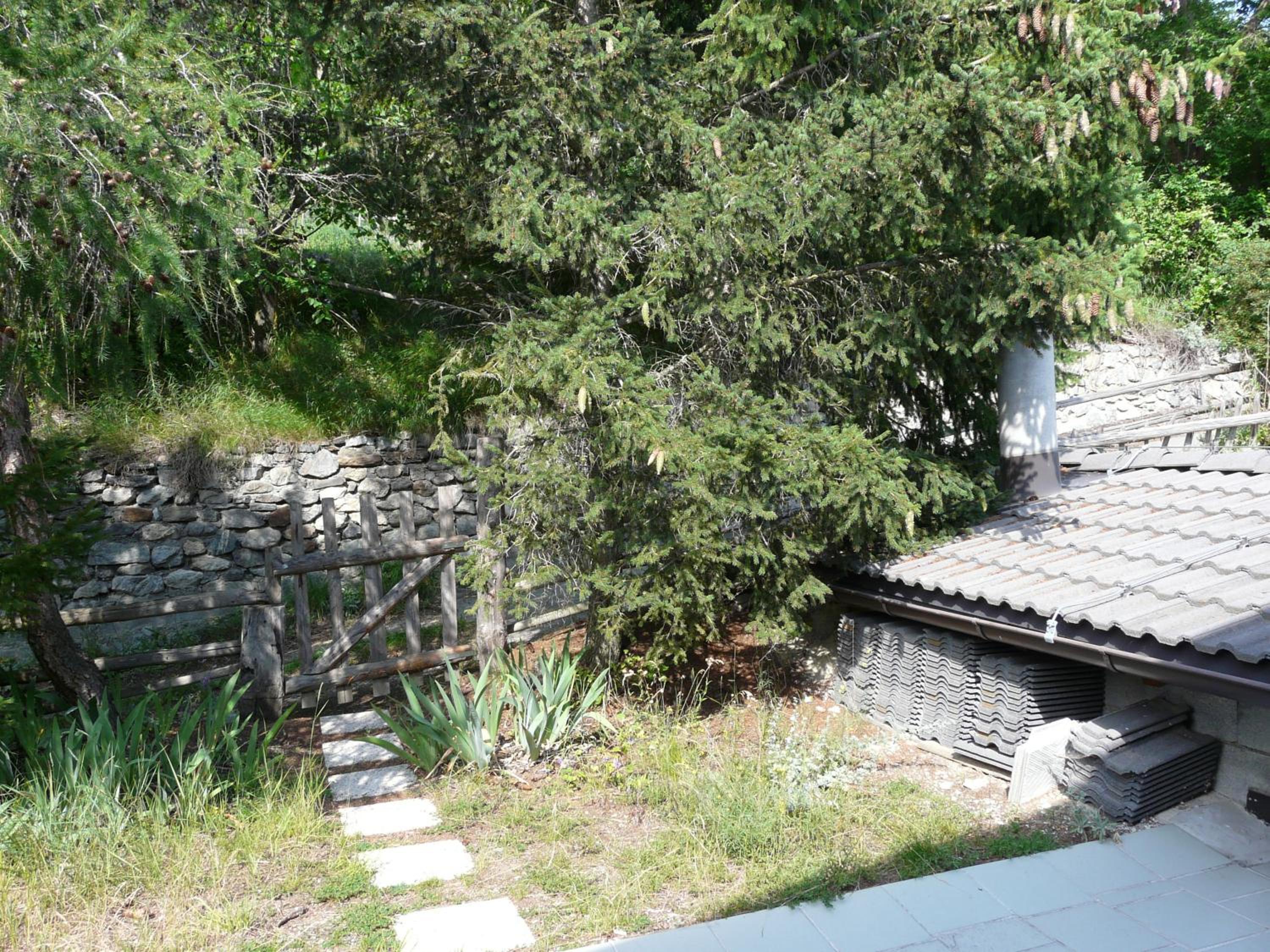 Studio with Terrace photo 2