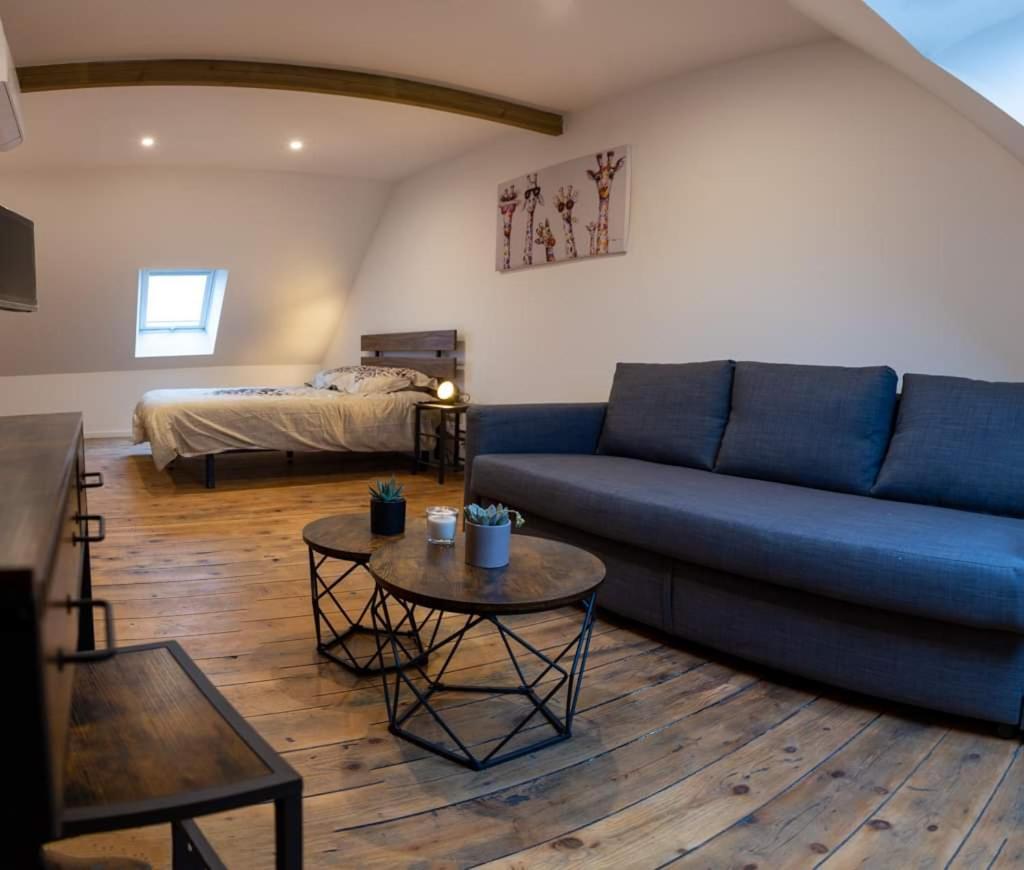 Family Room with Private Bathroom - Photo 14