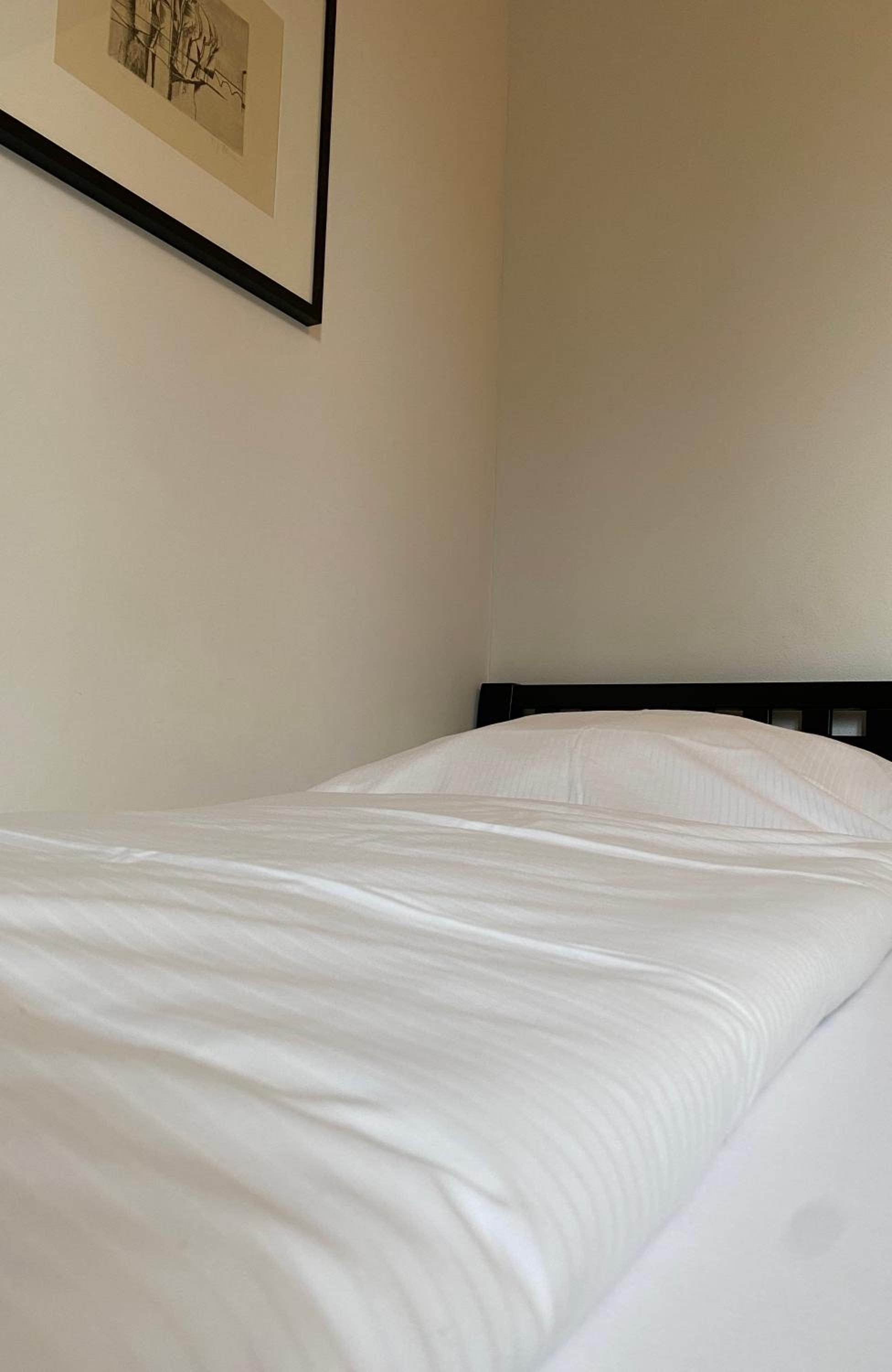 Single Room with Terrace