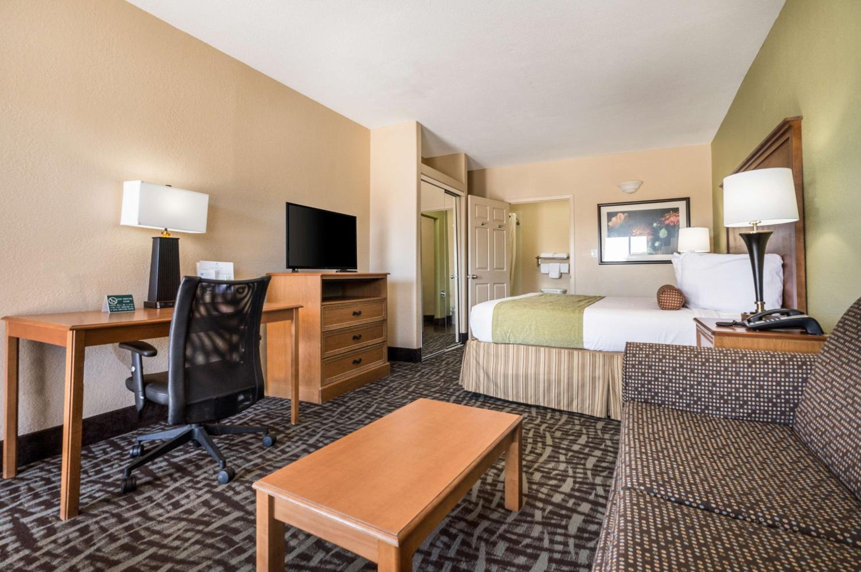 King Room photo 1