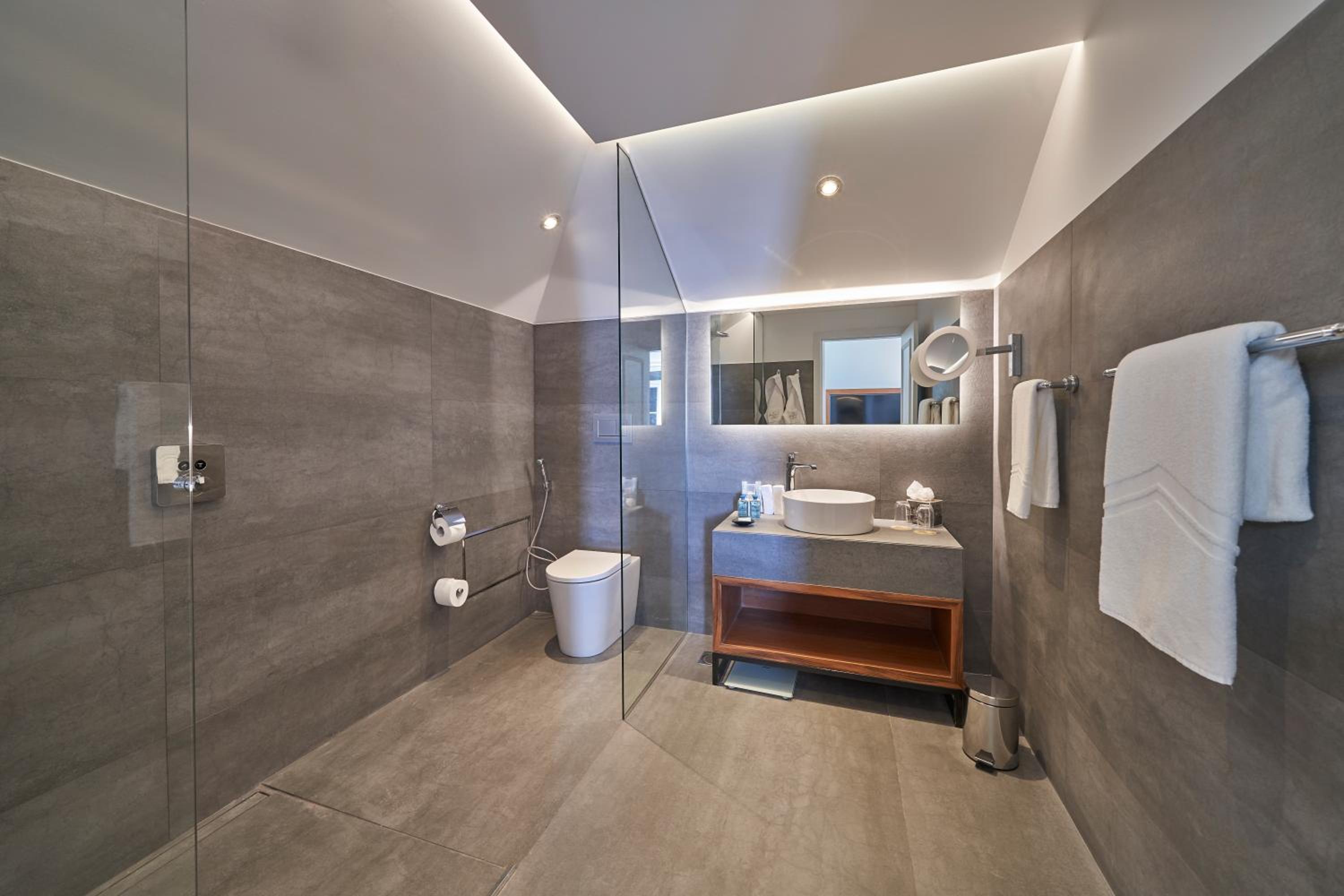 Junior Suite with Terrace