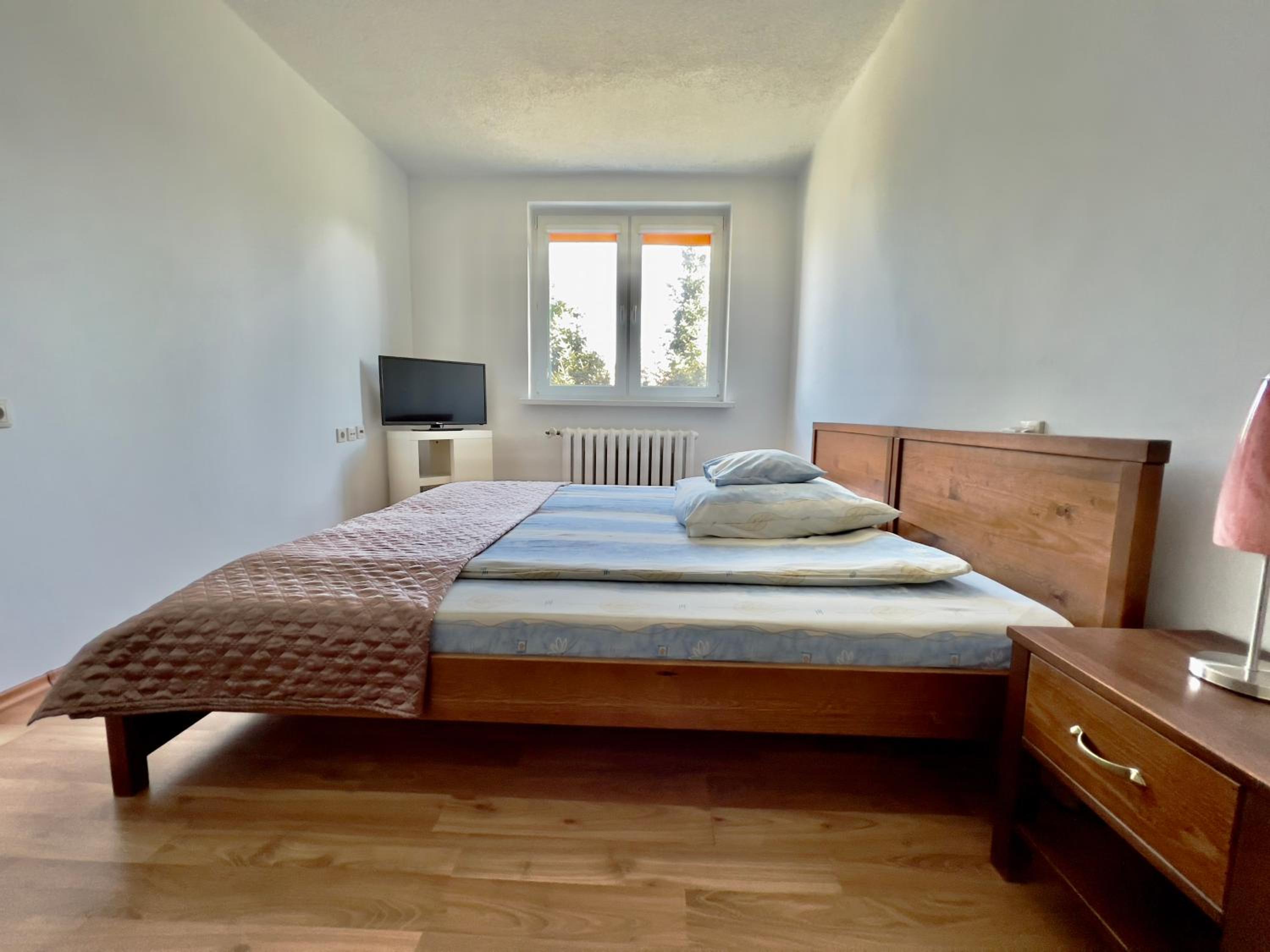 Single Room photo 1