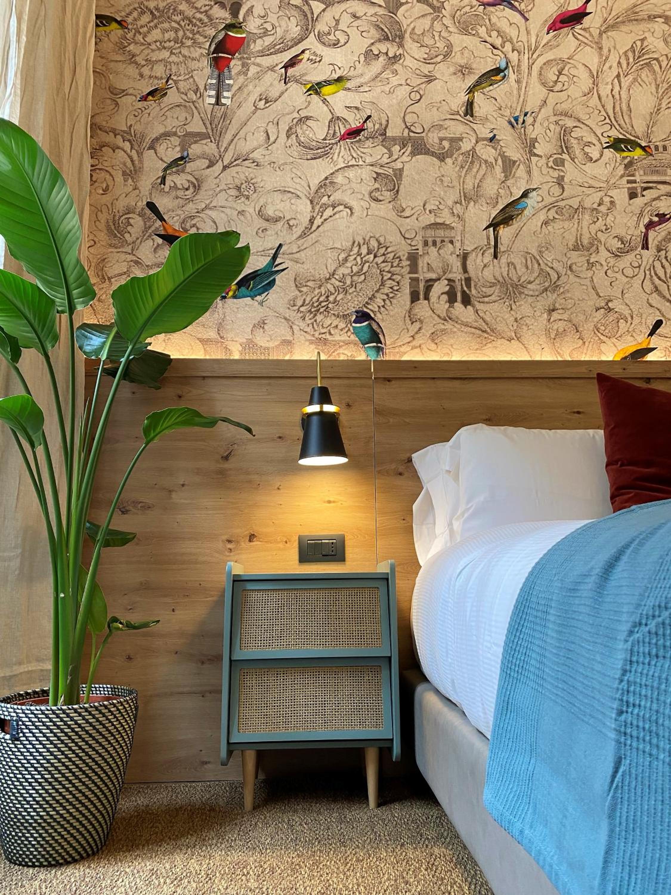 Deluxe Room photo 2