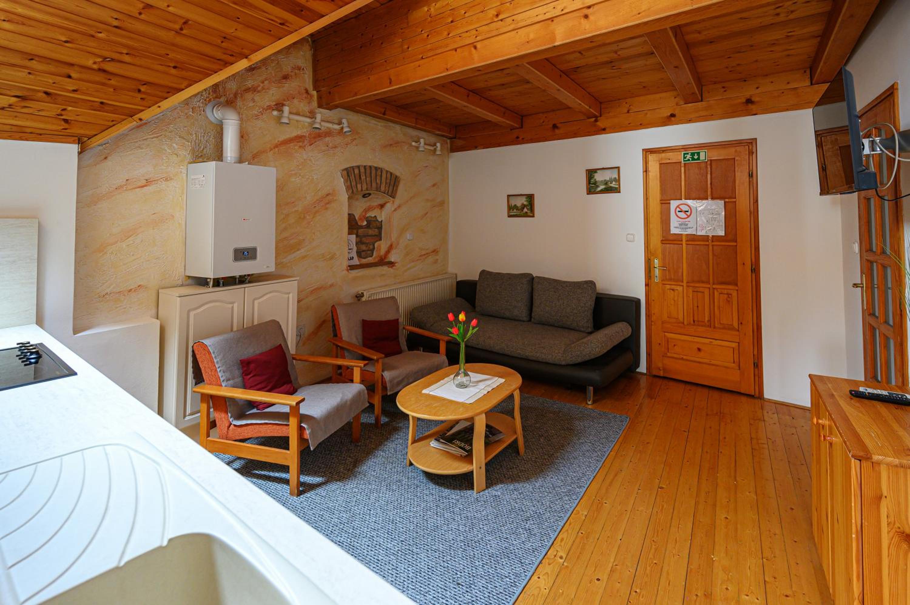 Apartment with Terrace - Photo 10