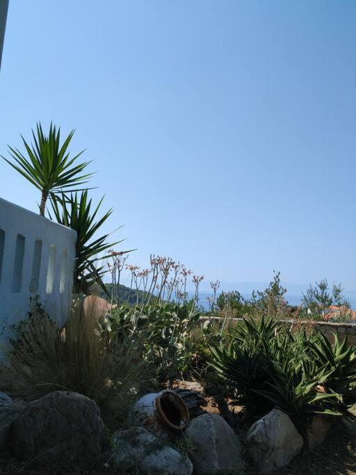 One-Bedroom House - Photo 10