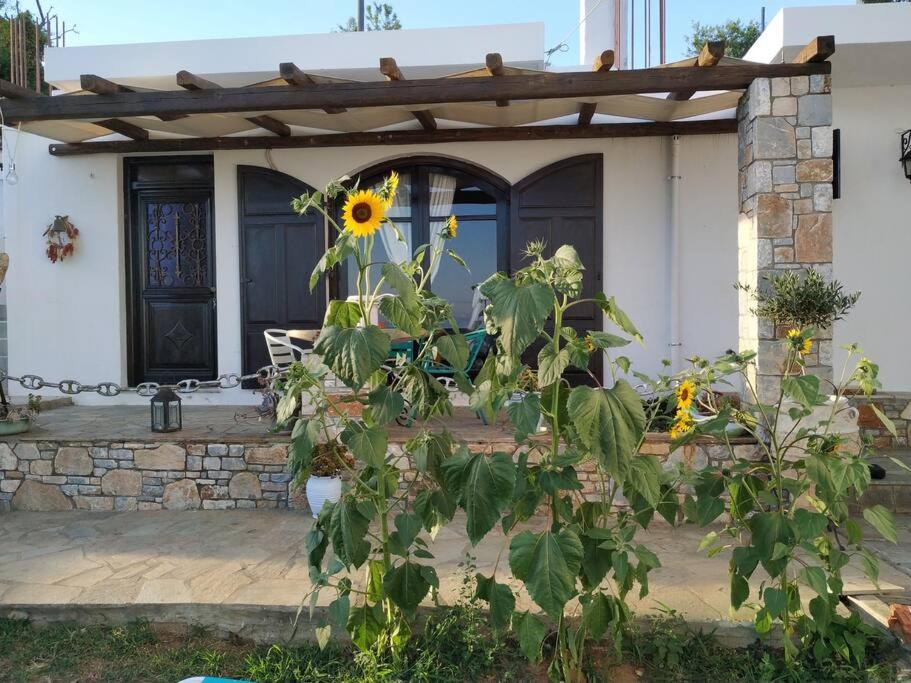 One-Bedroom House - Photo 26