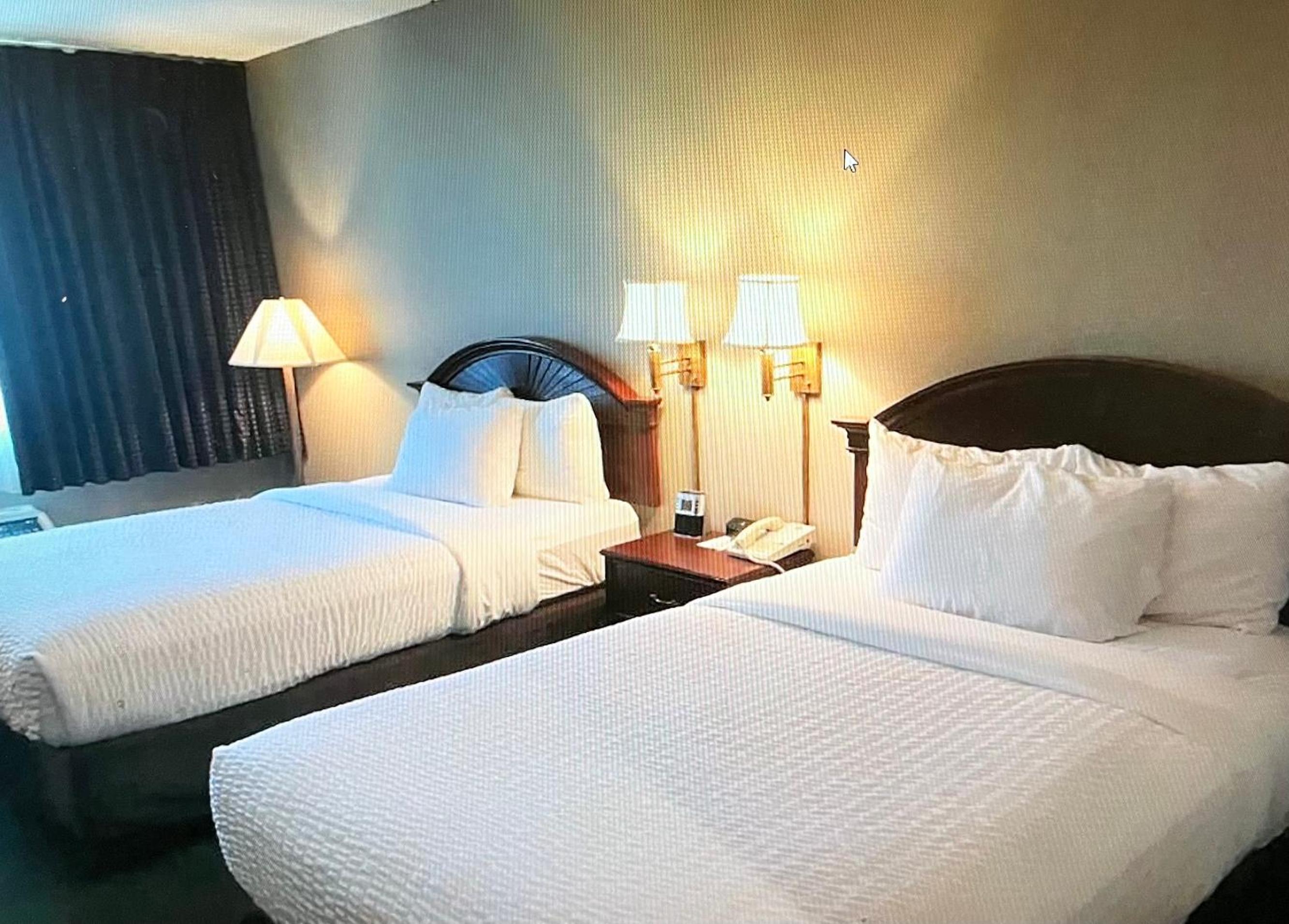 Business Double Room with Two Double Beds - Accessible/Non-Smoking photo 3