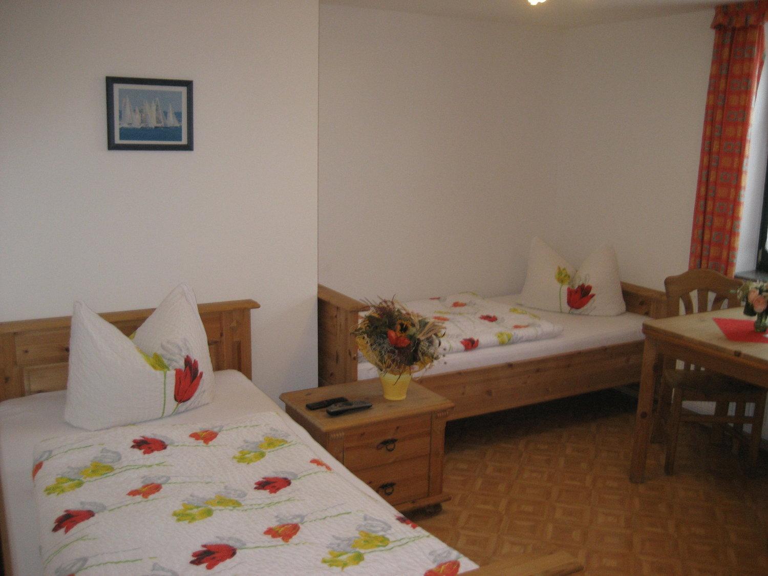 Double or Twin Room photo 3