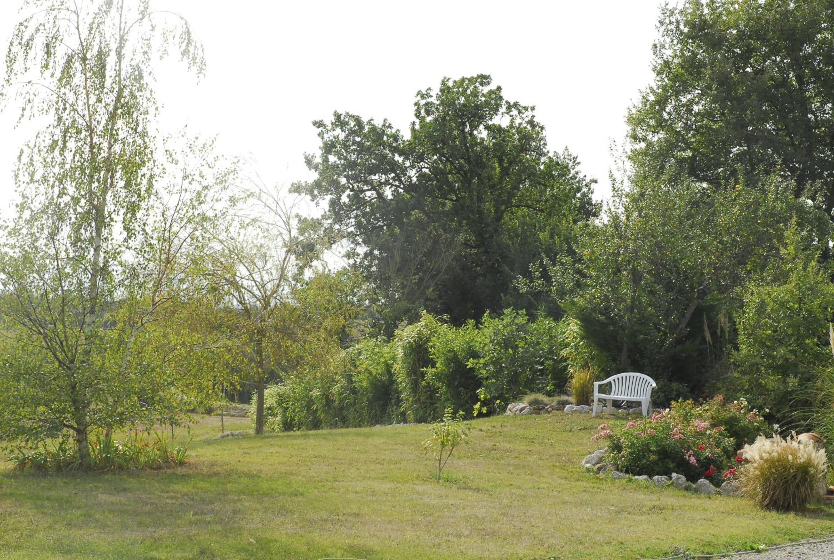 Double Room with Park View photo 3