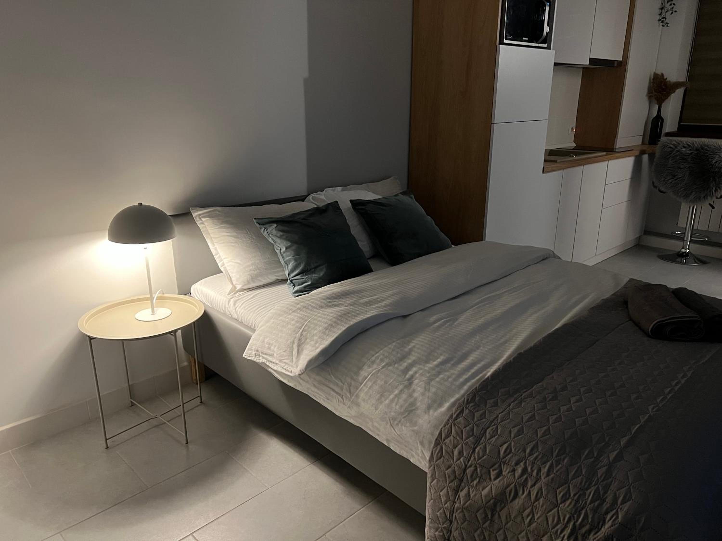 One-Bedroom Apartment - Photo 4