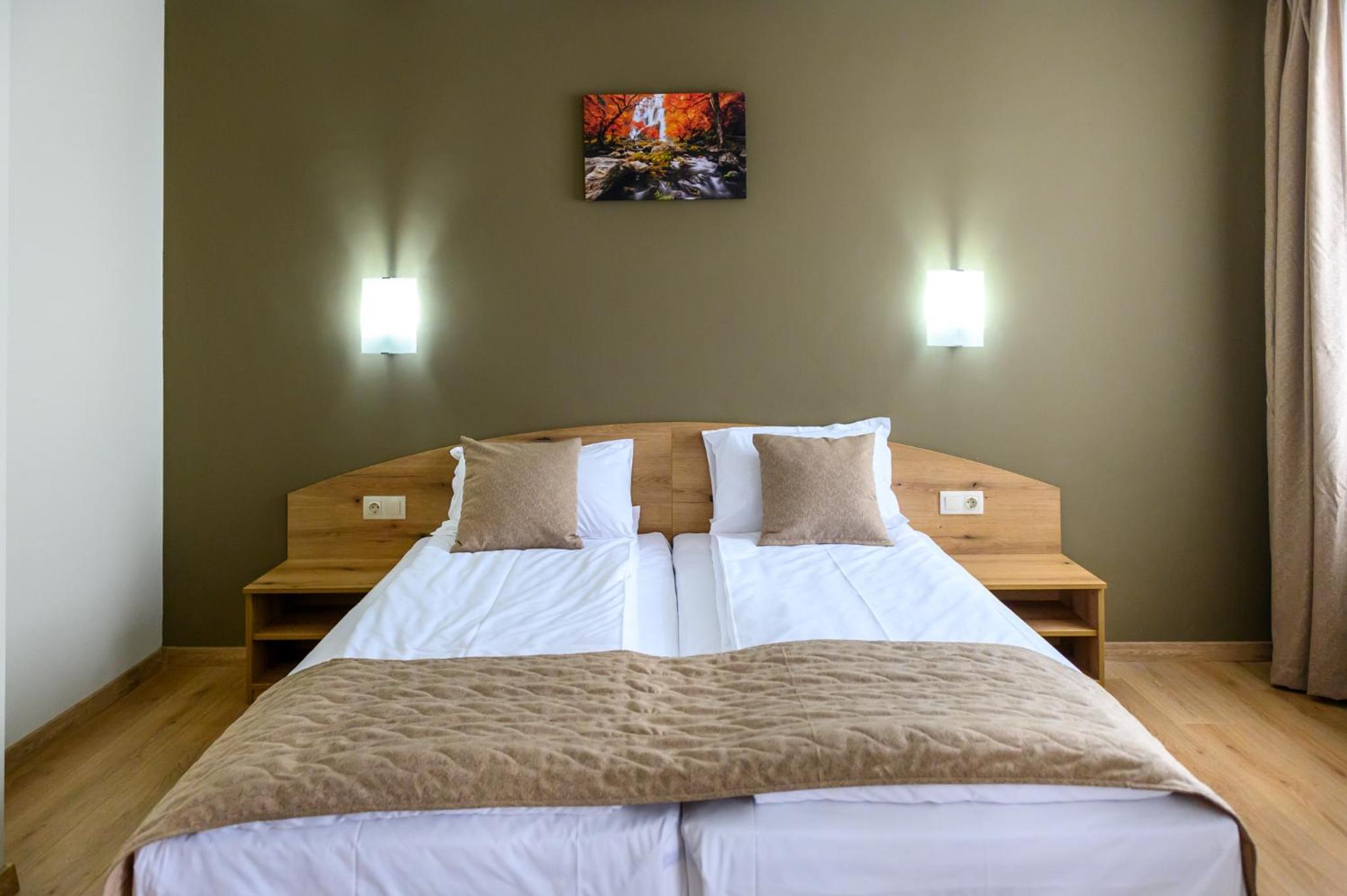 Deluxe Twin Room photo 3