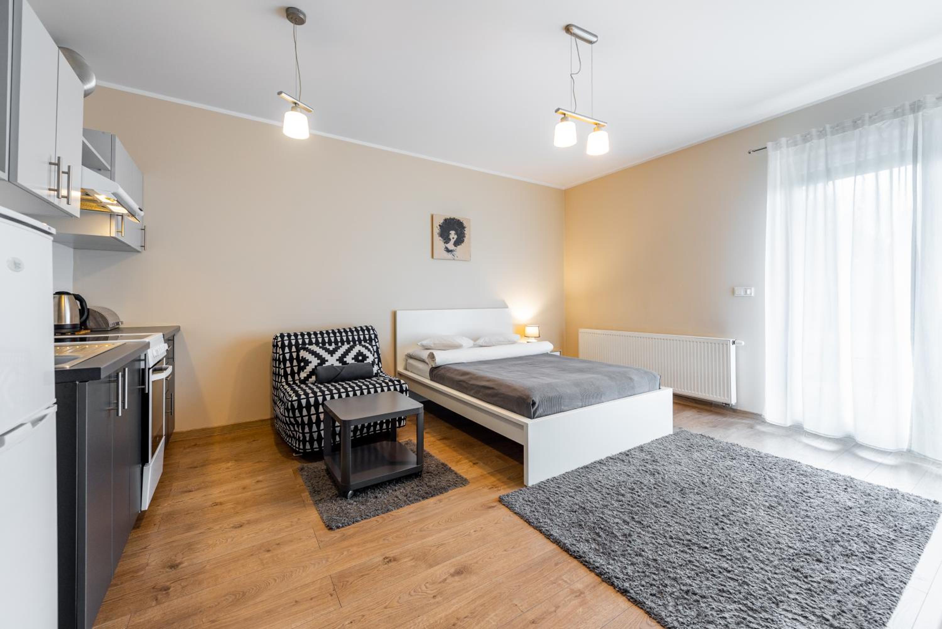 Economy Studio Apartment with Terrace - Francuska 94A/2