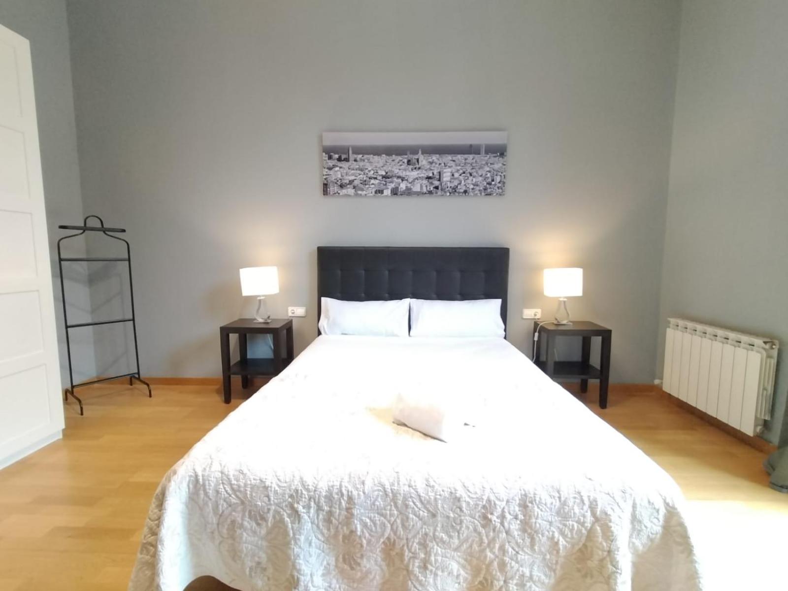 Deluxe Apartment photo 2