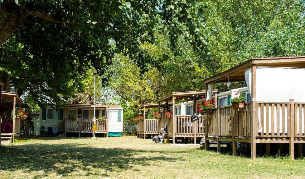 Mobile Home photo 3