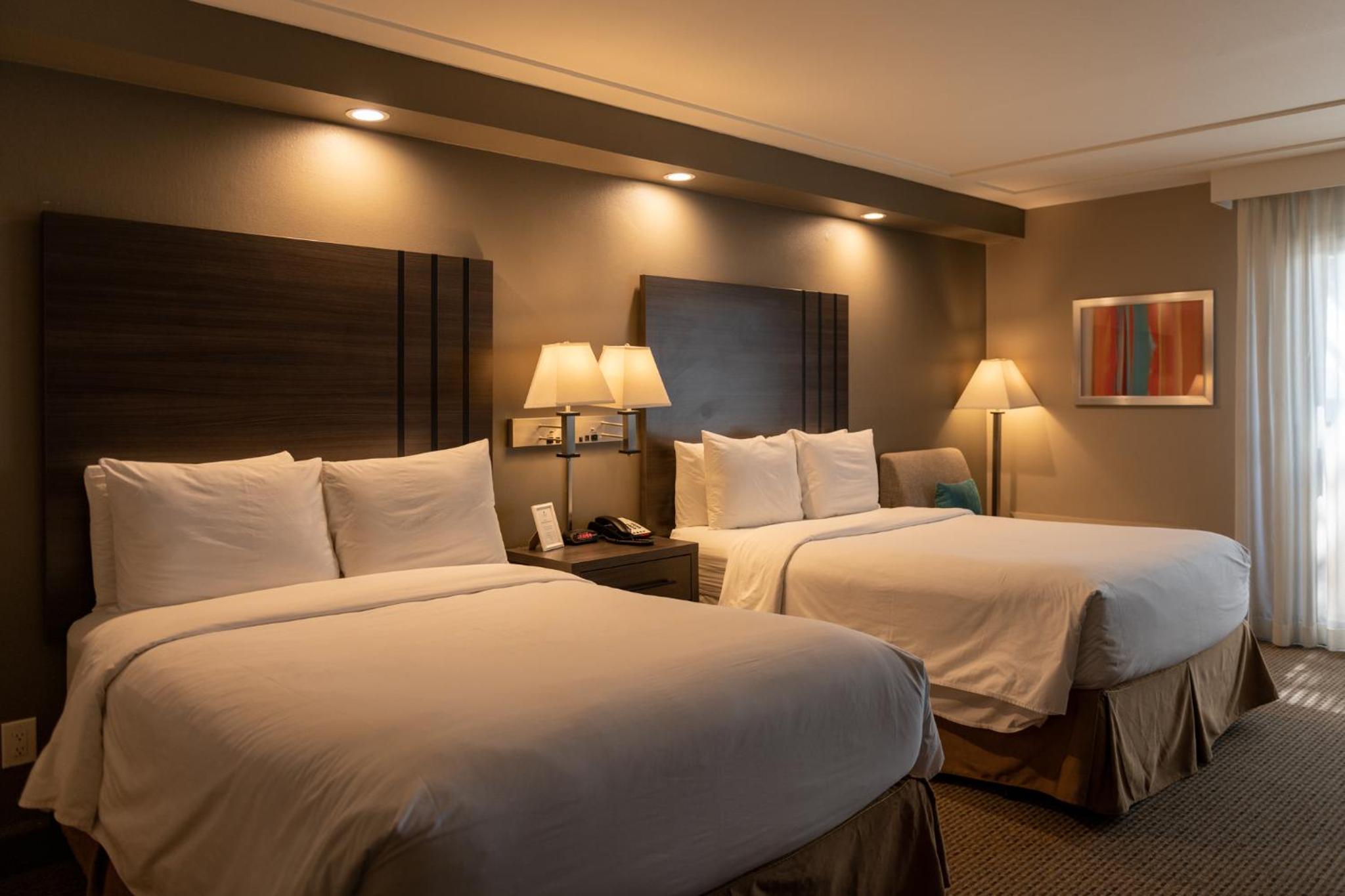 Standard double room