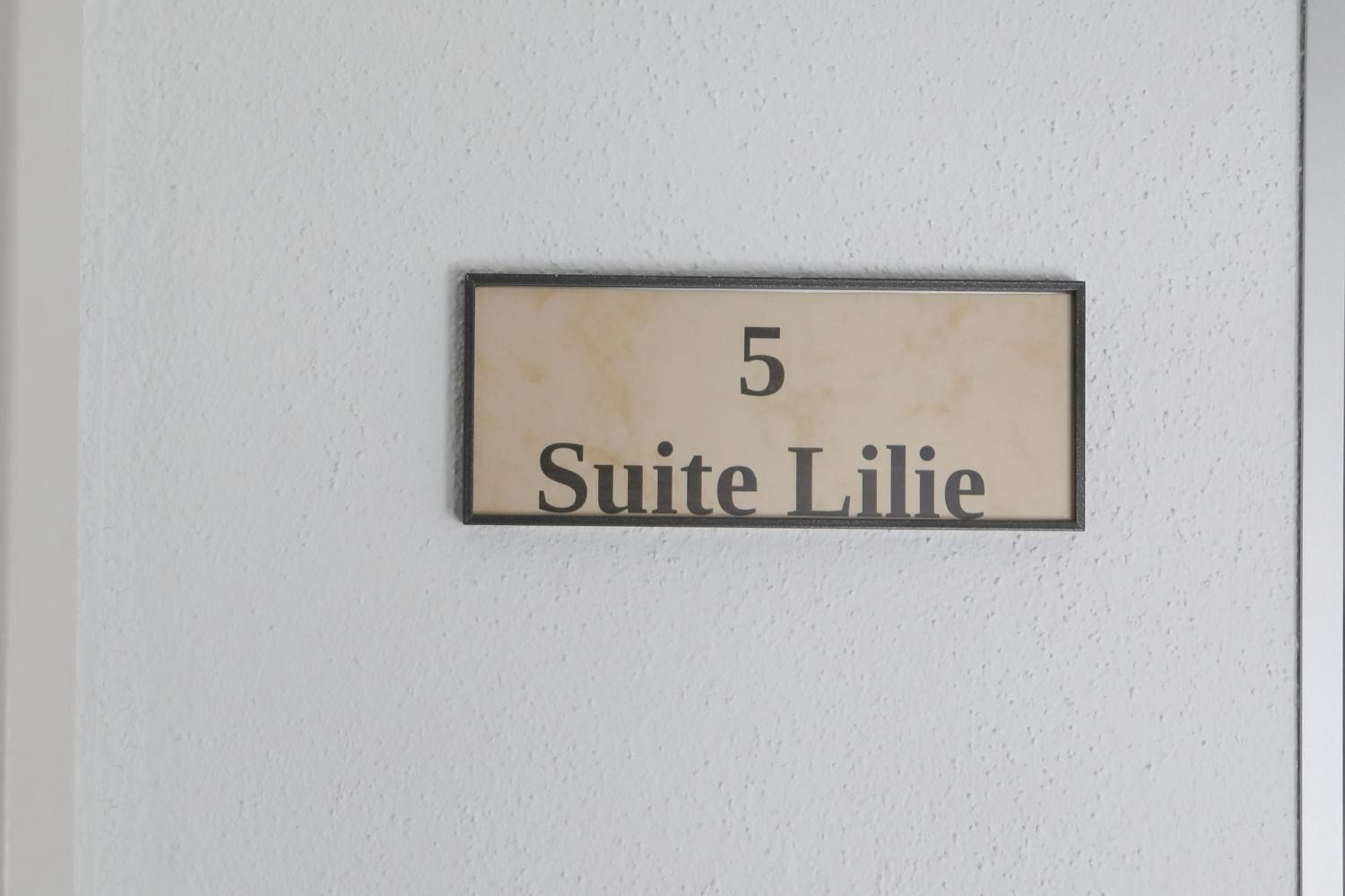 Deluxe Suite - Photo 4
