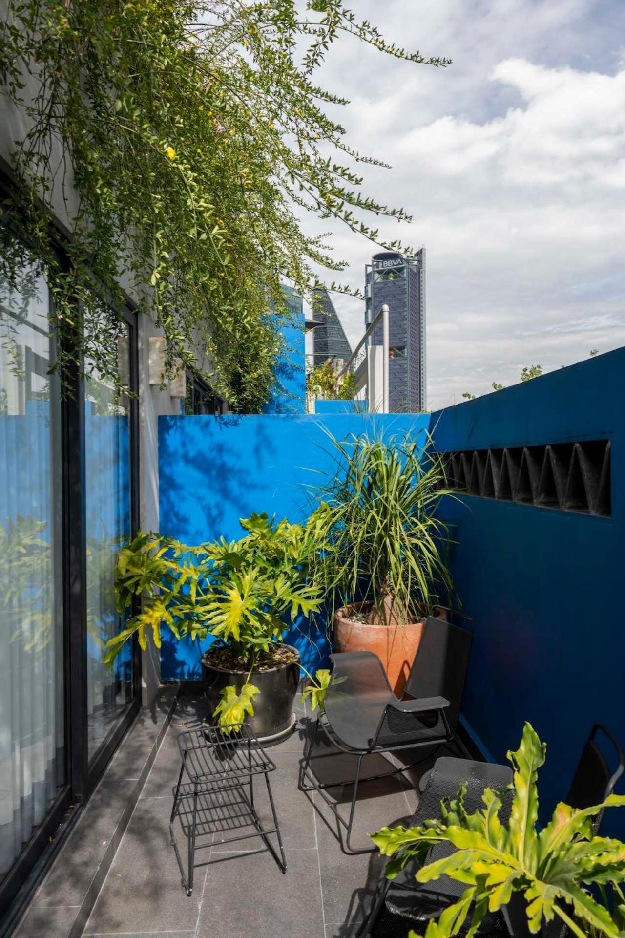 Apartment with Terrace photo 3