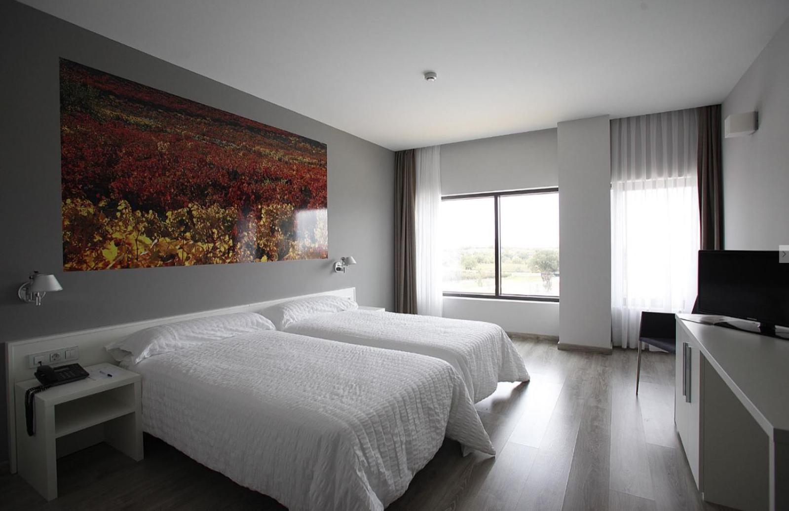 Twin Room photo 2