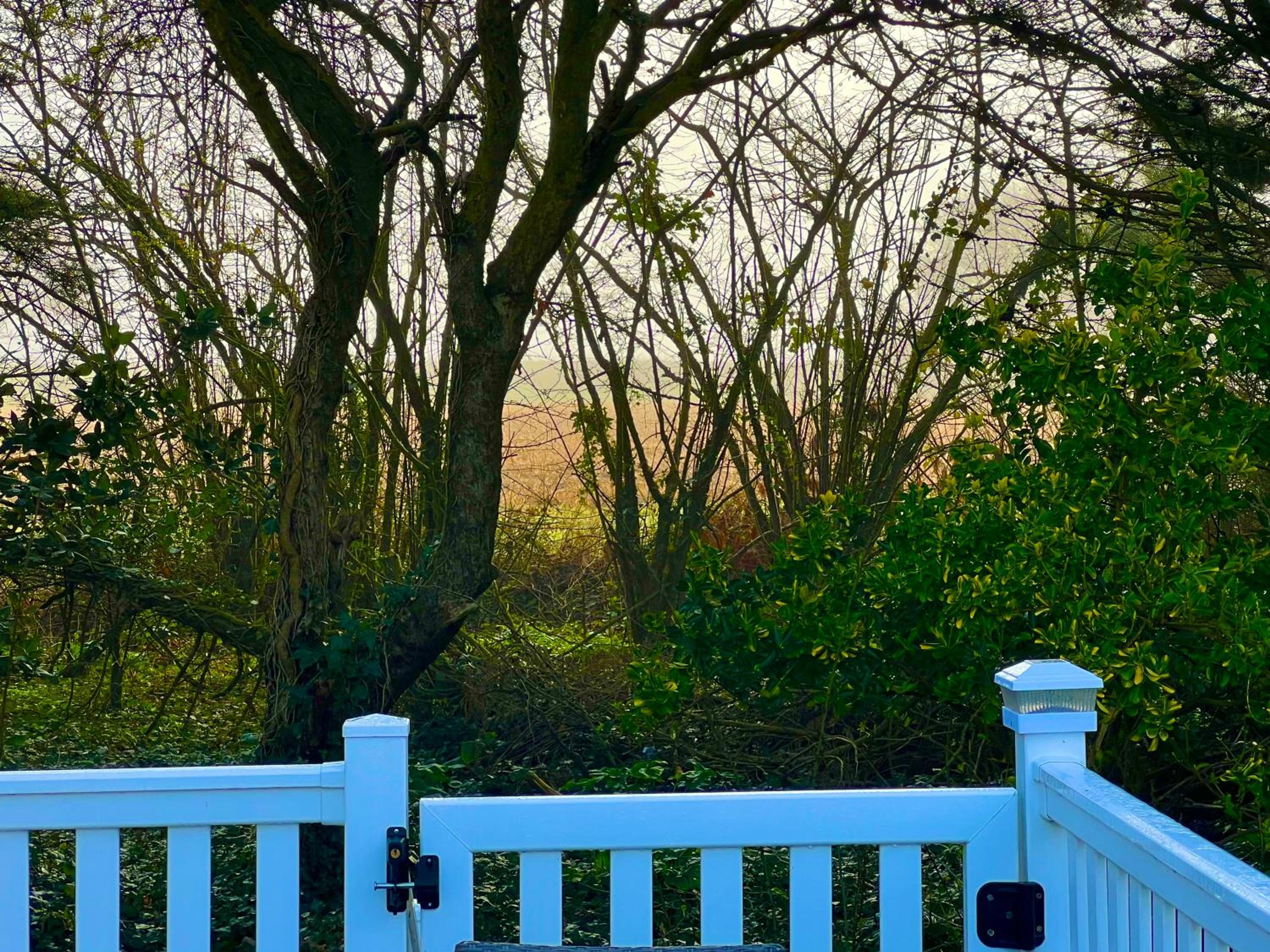 Vacation Home - Photo 10