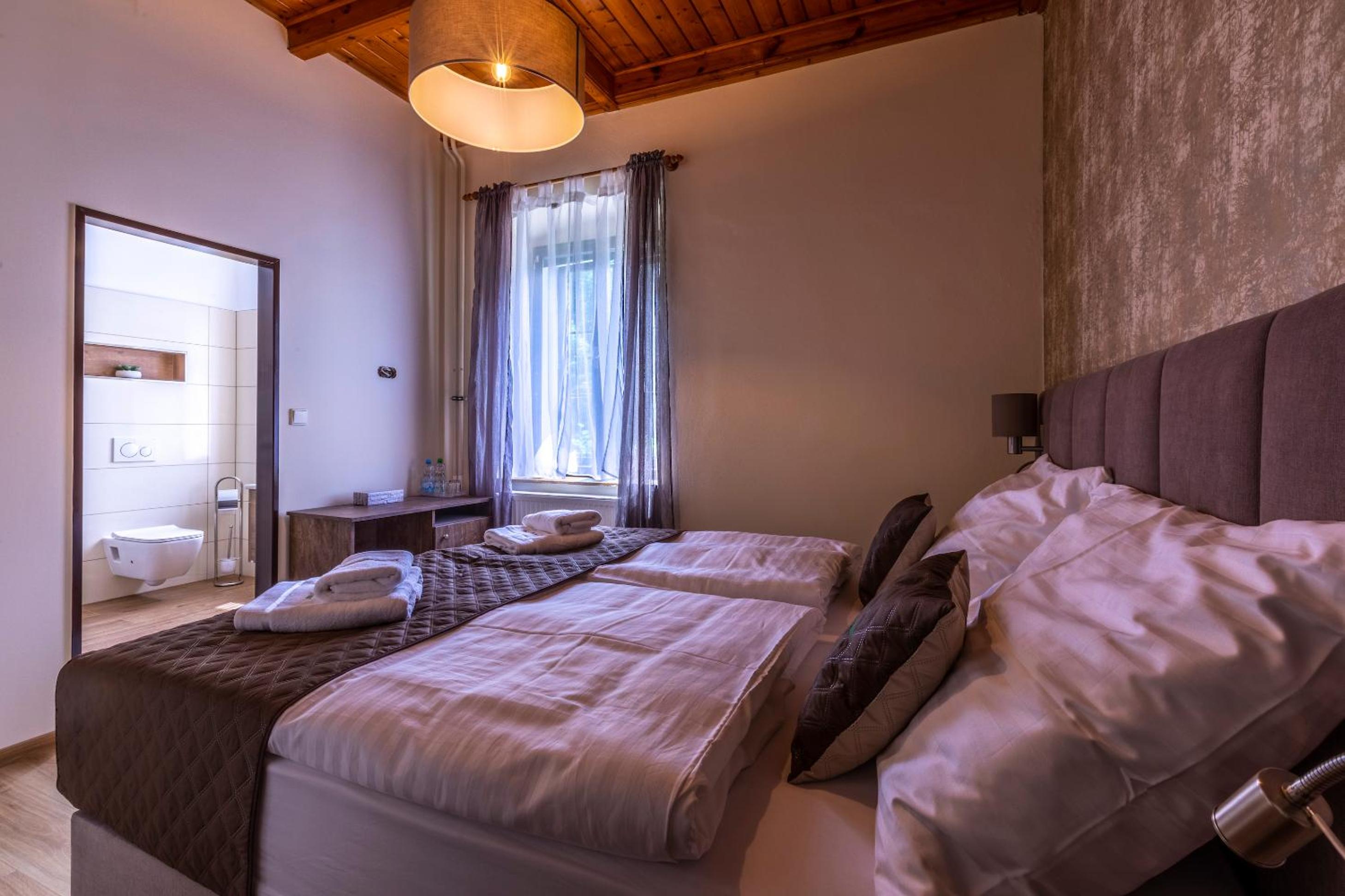 Deluxe Double or Twin Room photo 3
