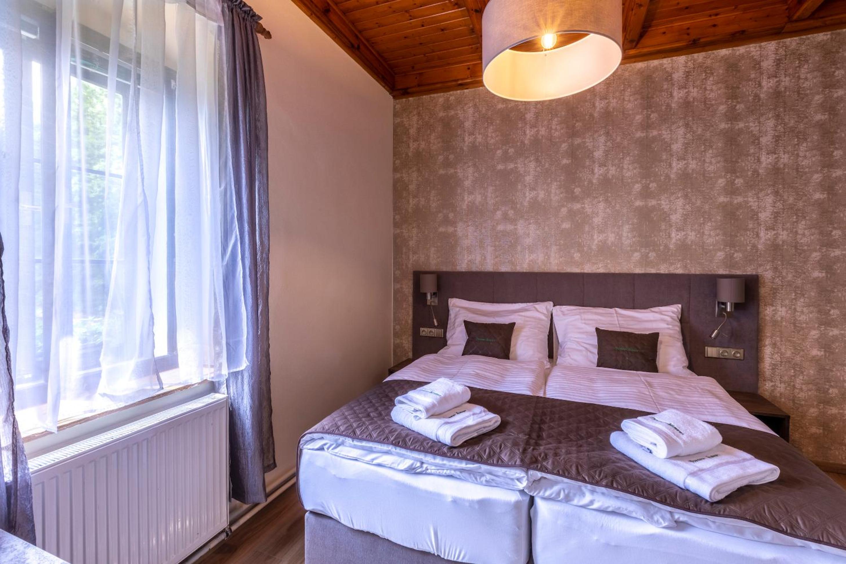 Deluxe Double or Twin Room photo 2