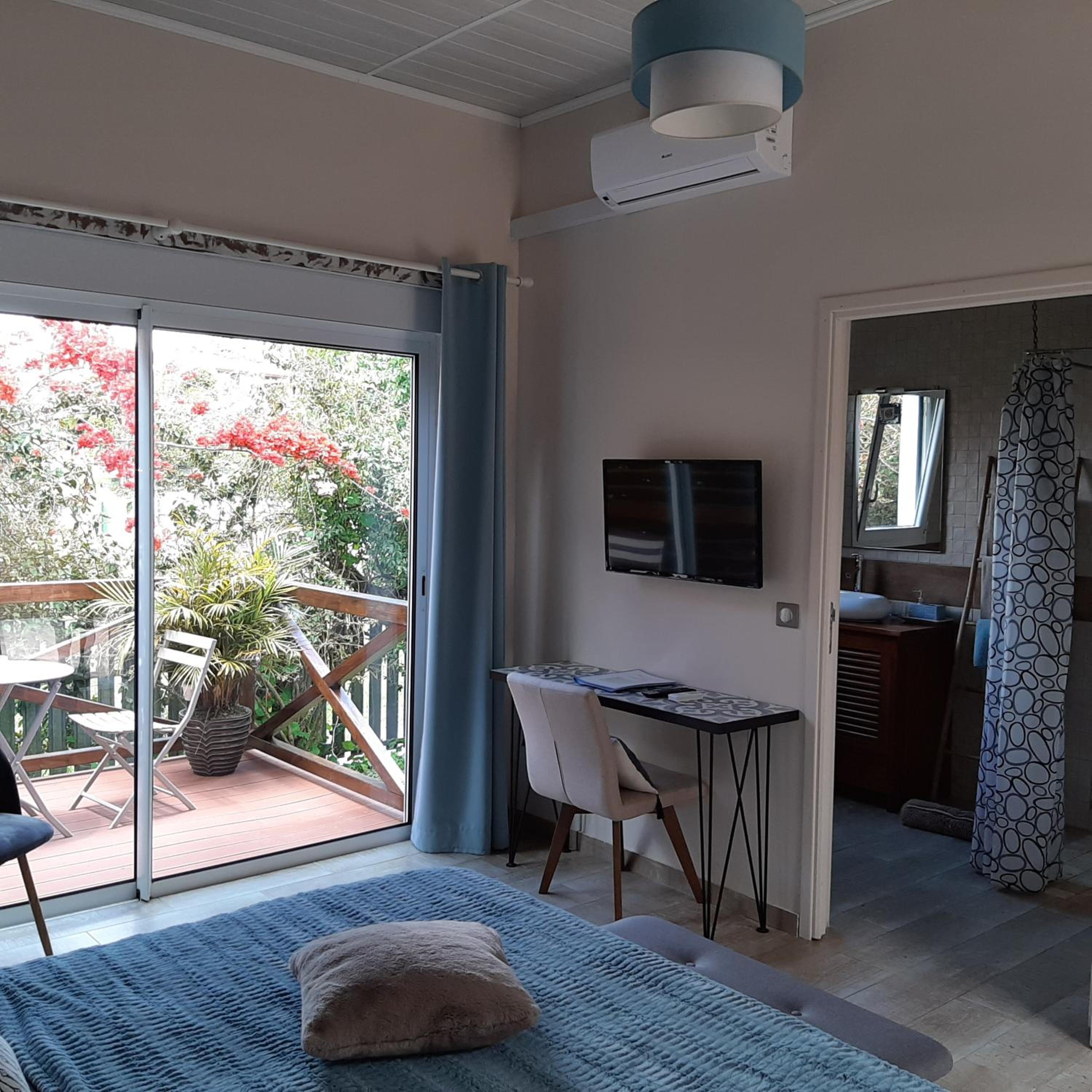 Double Room with Terrace photo 3
