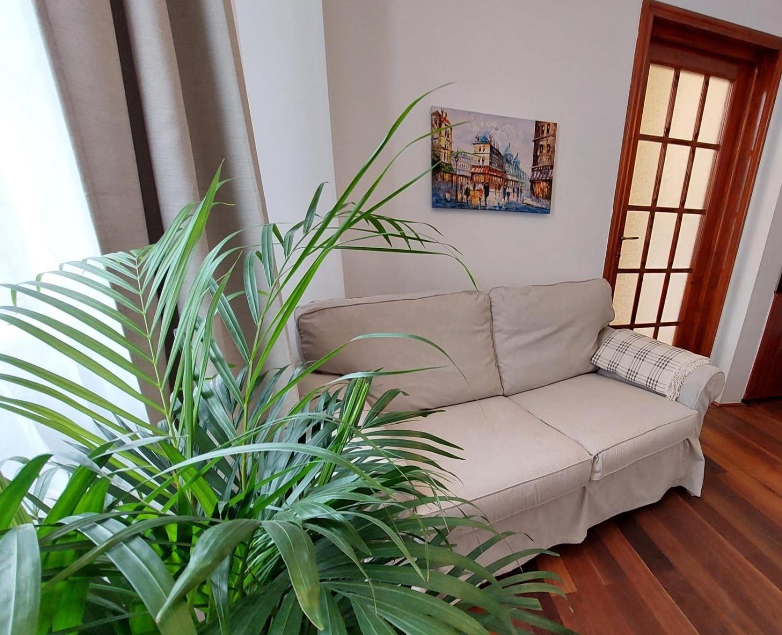 One-Bedroom Apartment - Photo 2