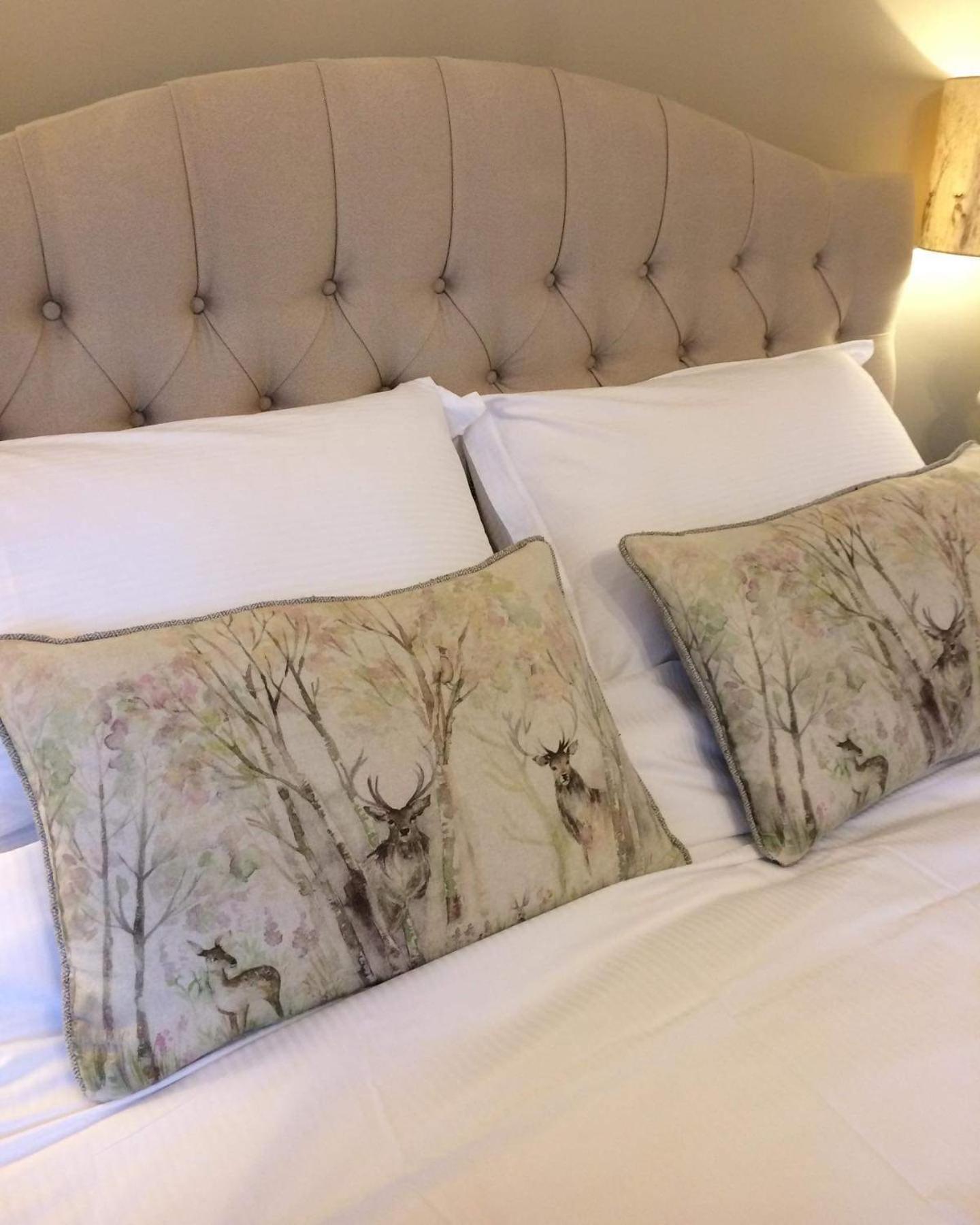 King Double Room photo 2