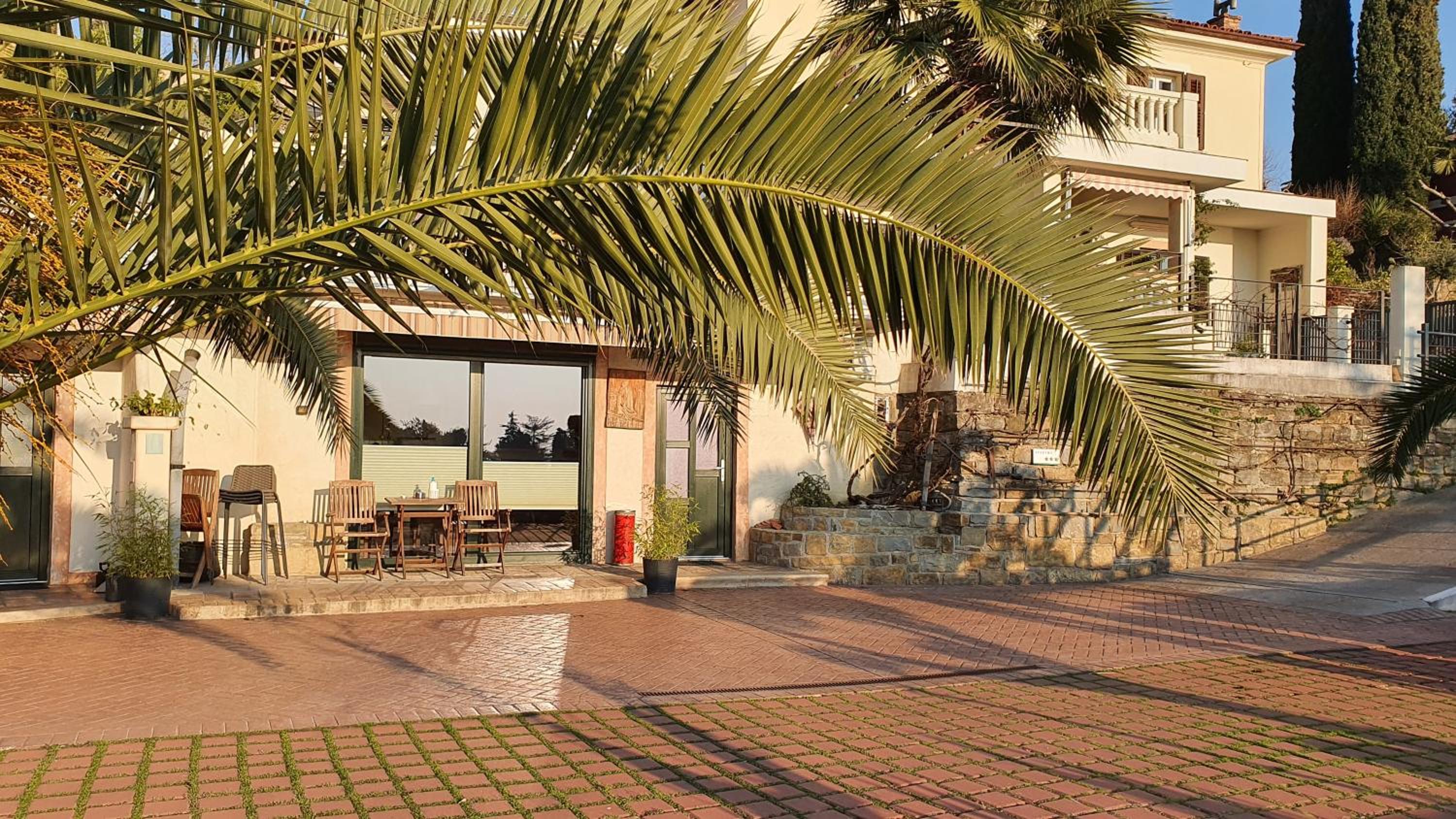 Studio Apartment with Sea View photo 1