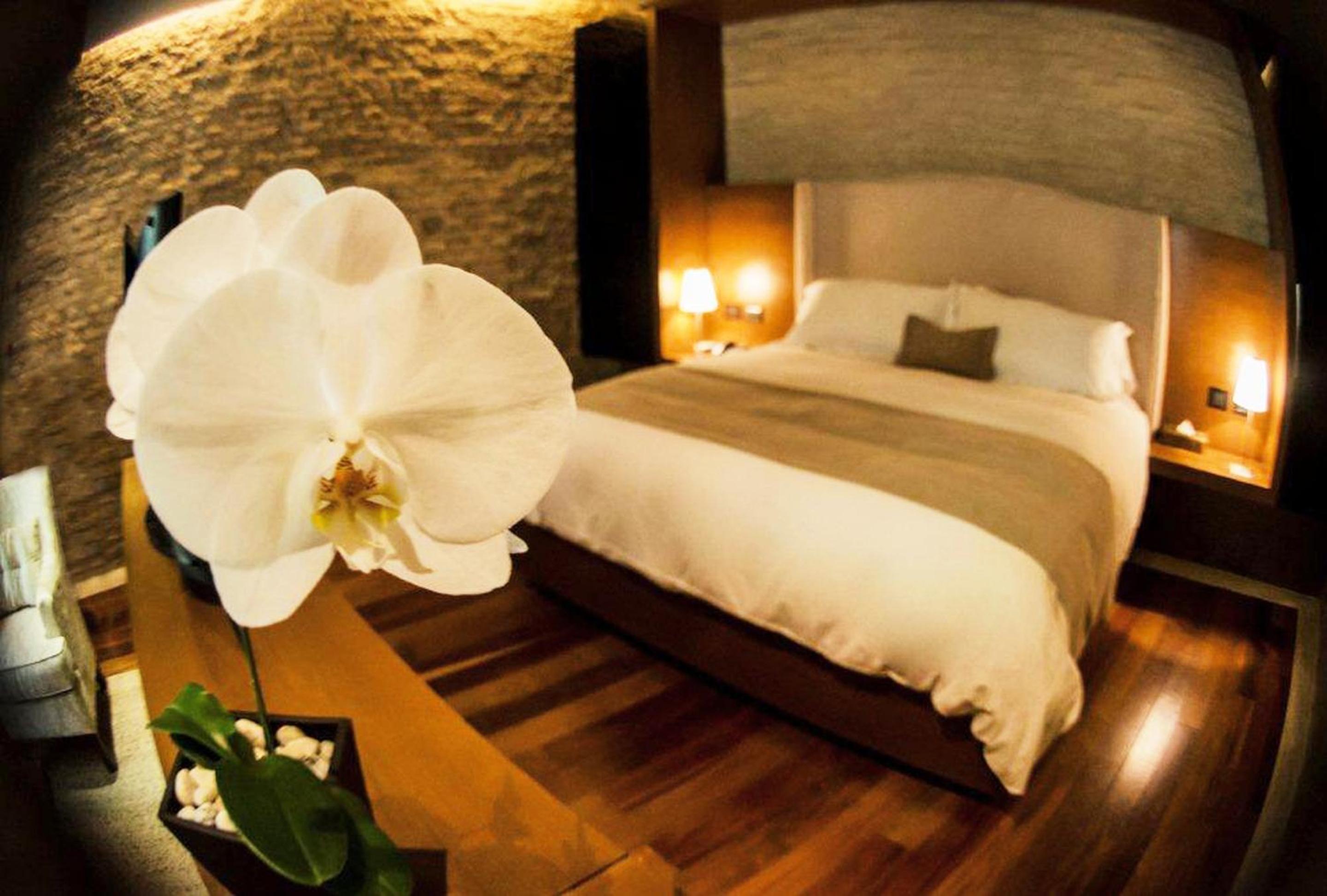 Deluxe Suite - Photo 7