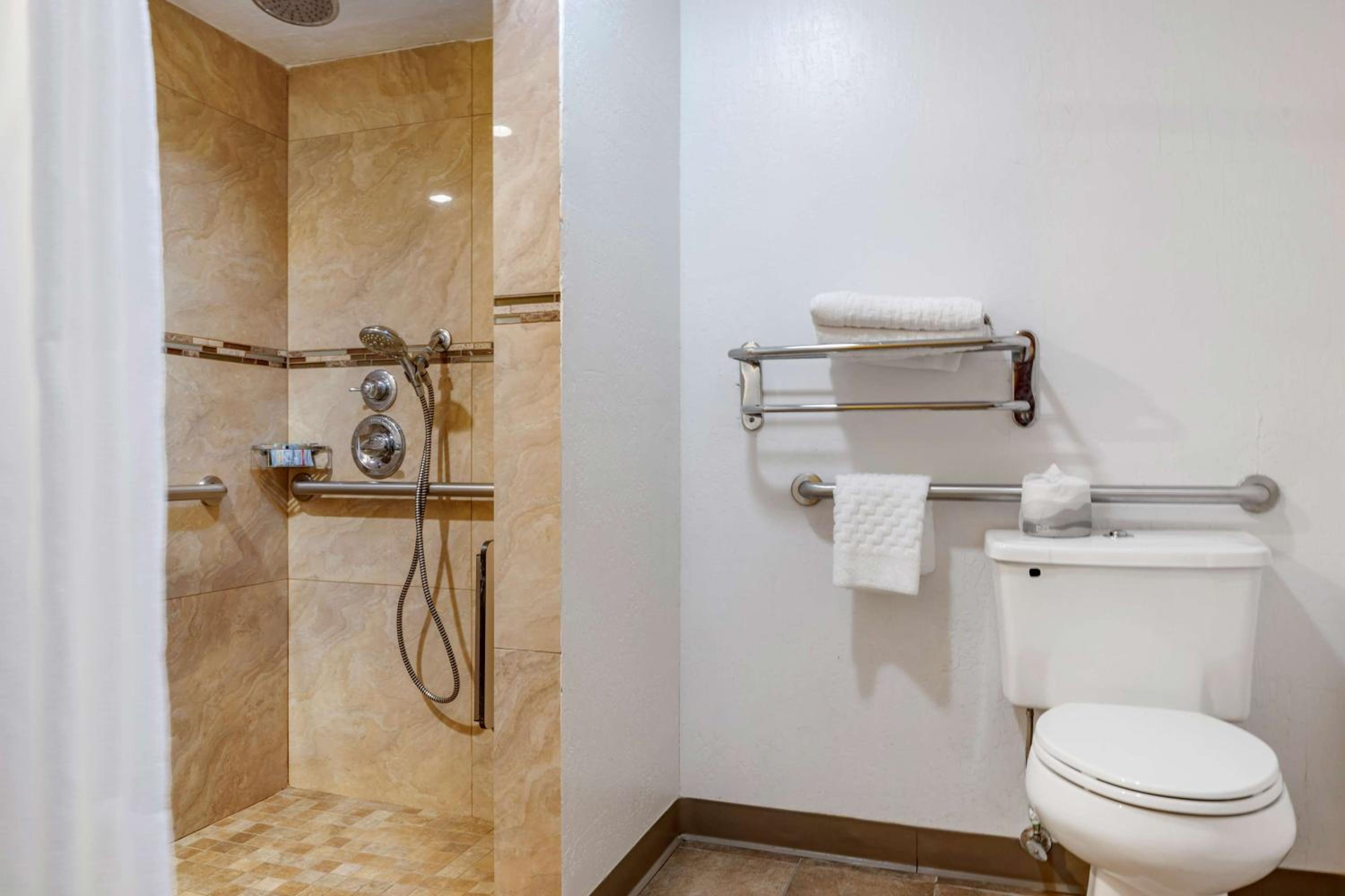 Queen Room - Mobility Access - Photo 4
