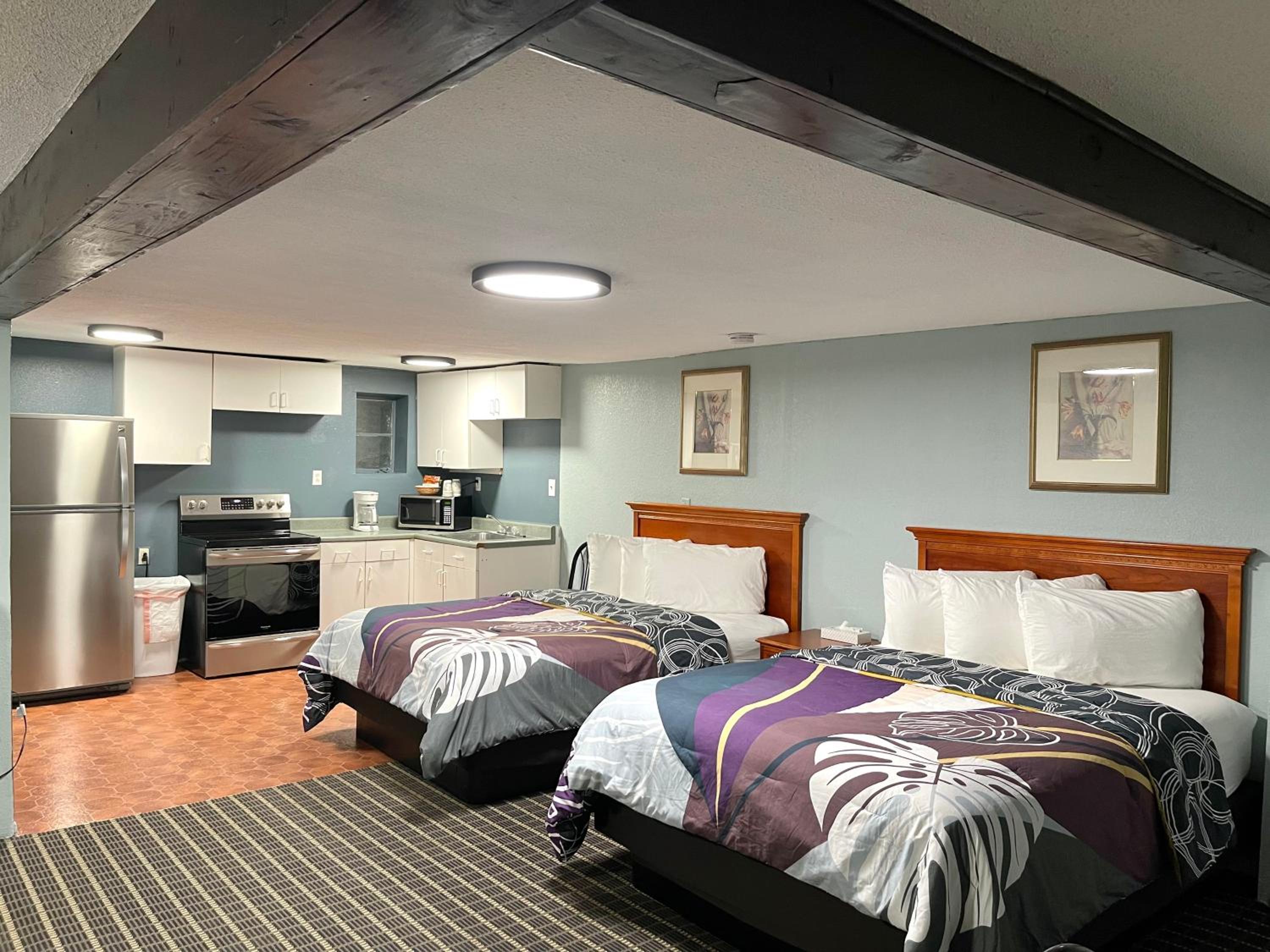 One-Bedroom Family Apartment - Photo 4