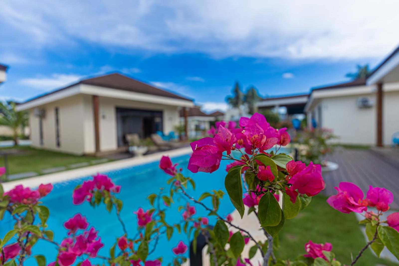 Two-Bedroom Villa photo 2
