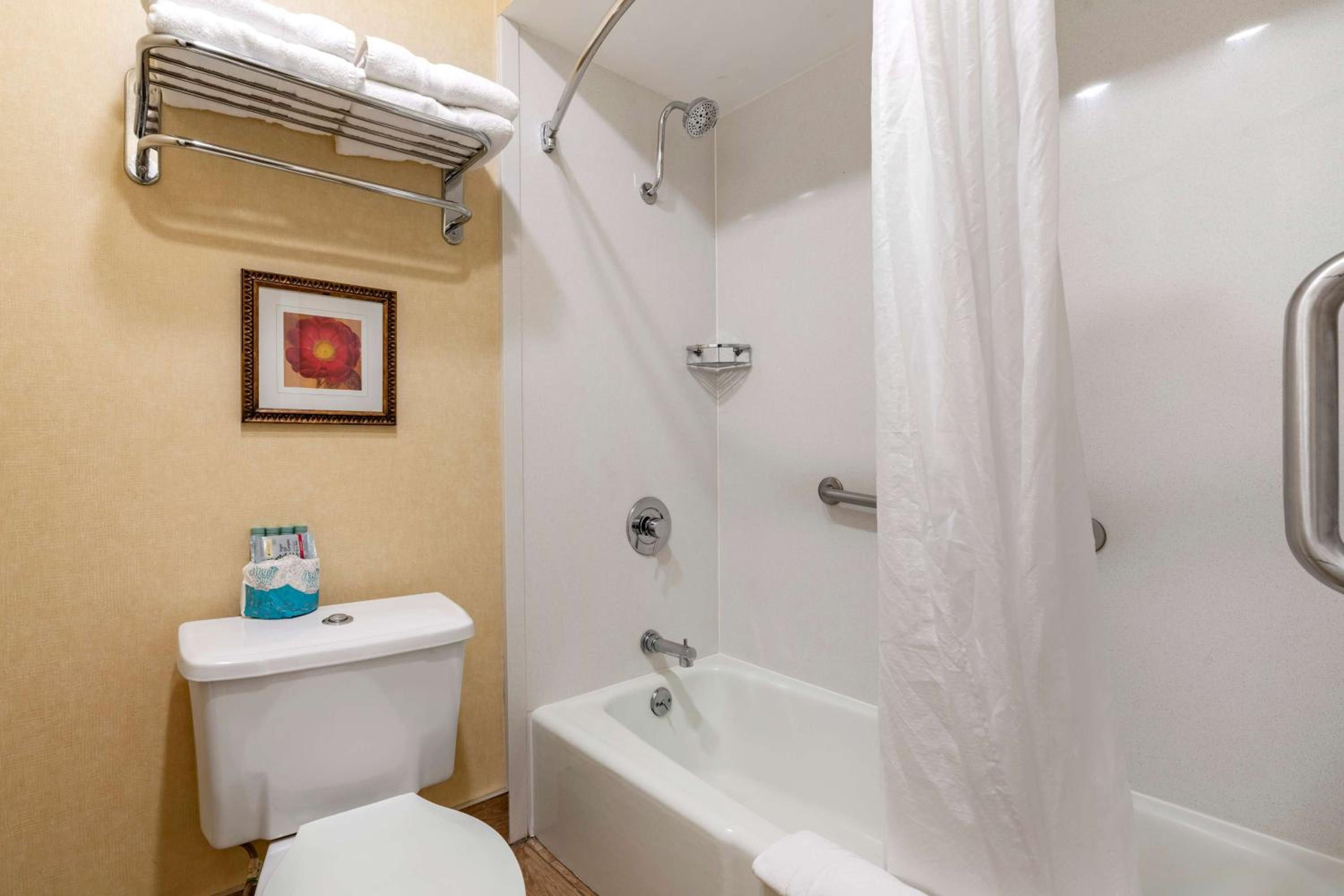 King Room - Non-Smoking - Photo 4