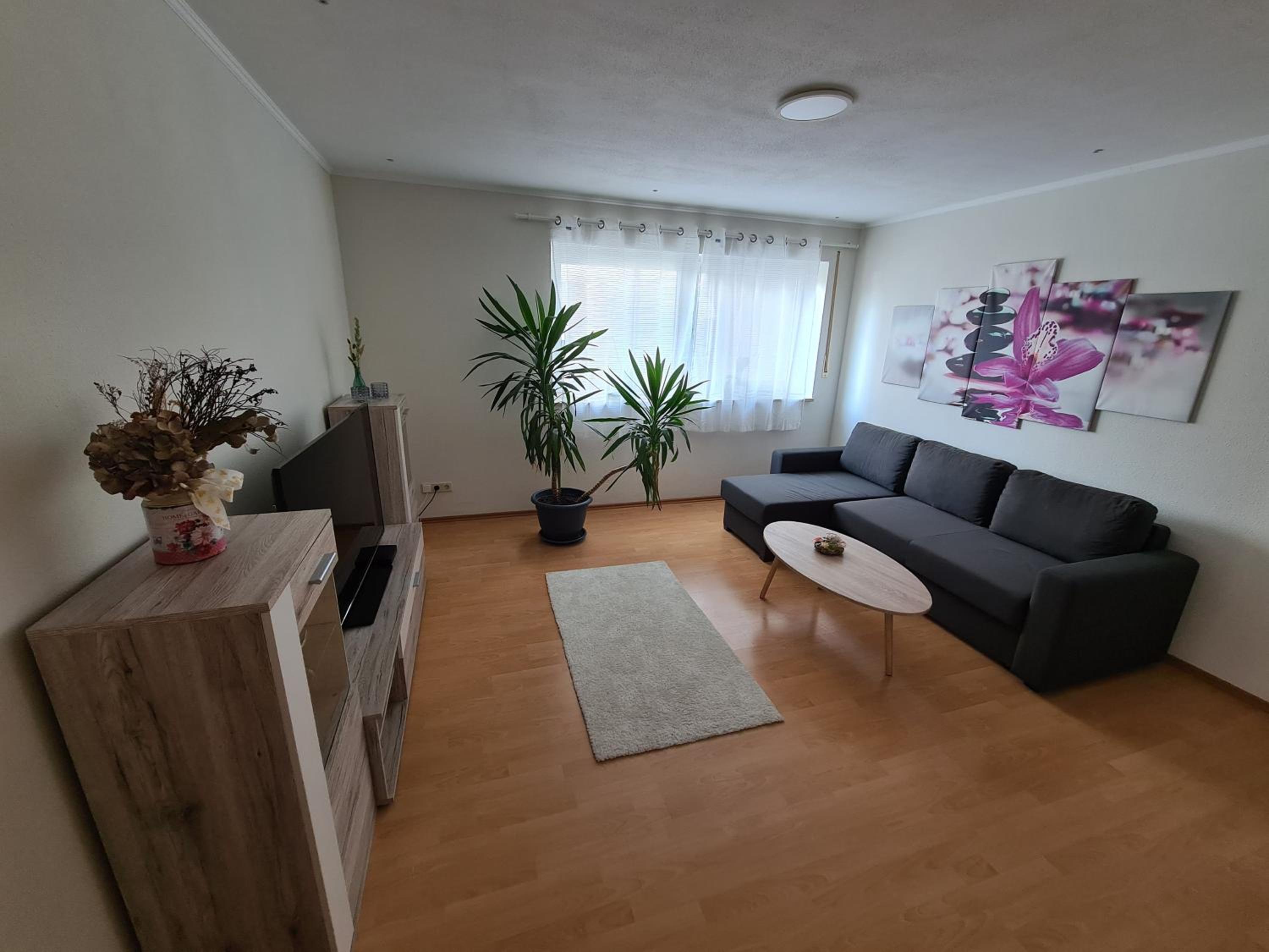 One-Bedroom Apartment photo 1