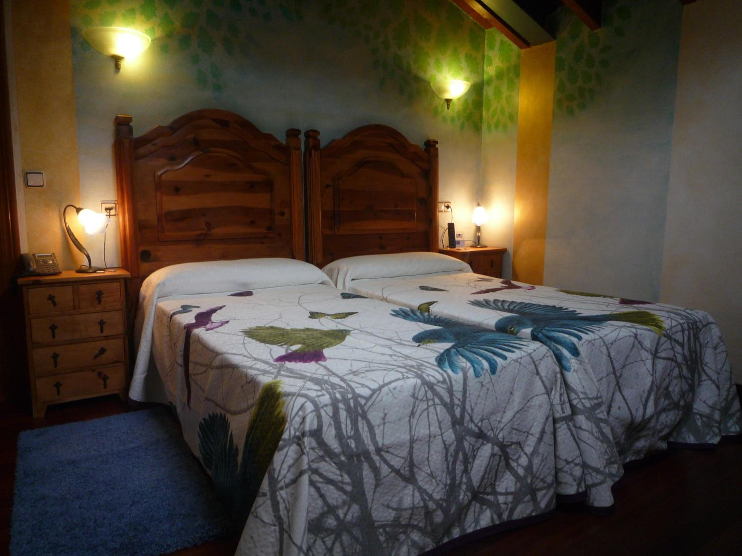 Double or Twin Room photo 2