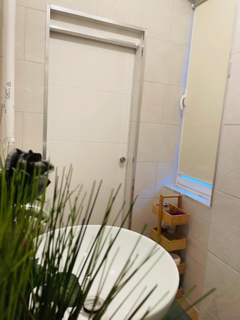 Standard Studio - Photo 11