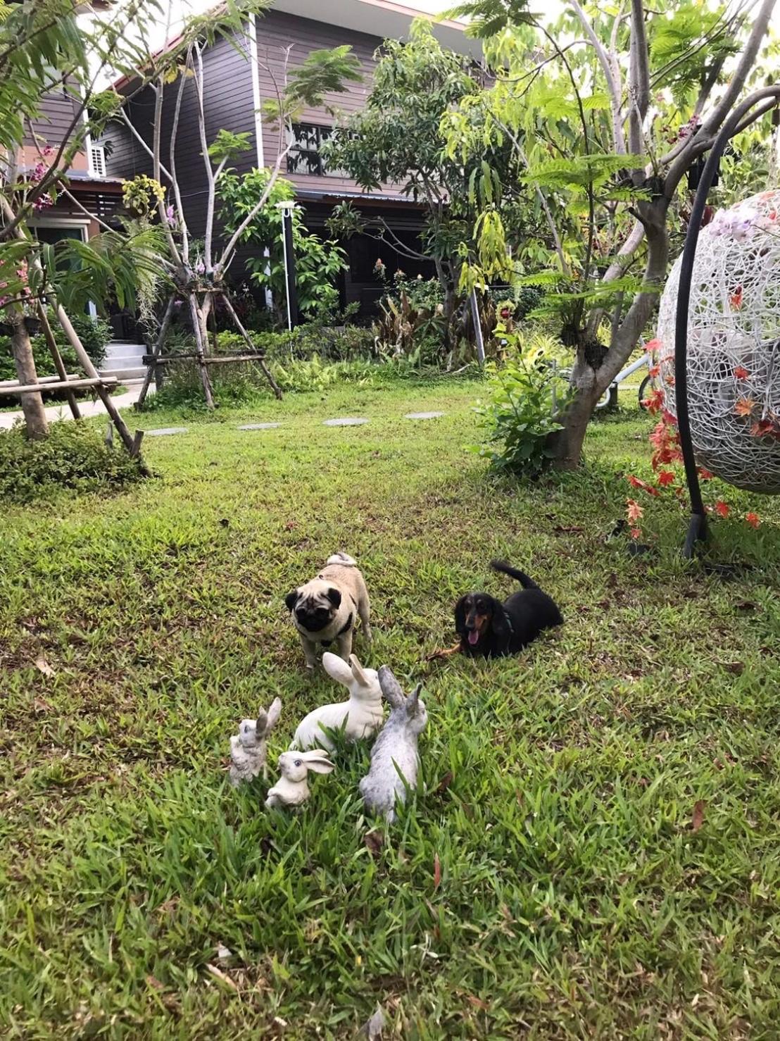 Double Room with Garden View - Photo 2