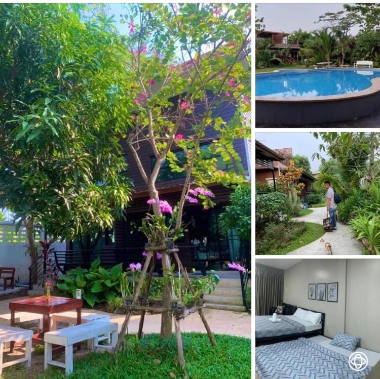 Double Room with Garden View - Photo 6