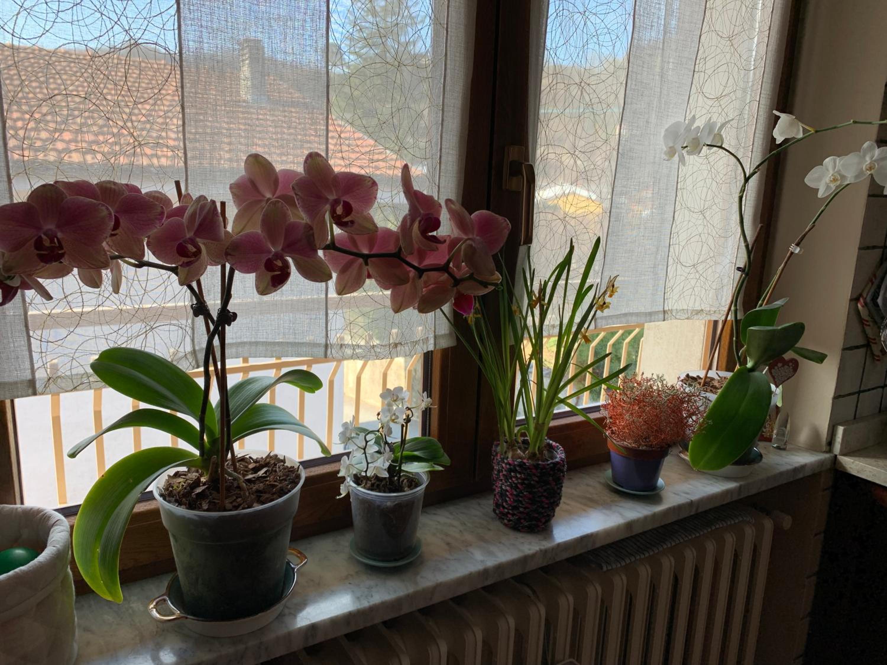 Single Room With Balcony photo 3