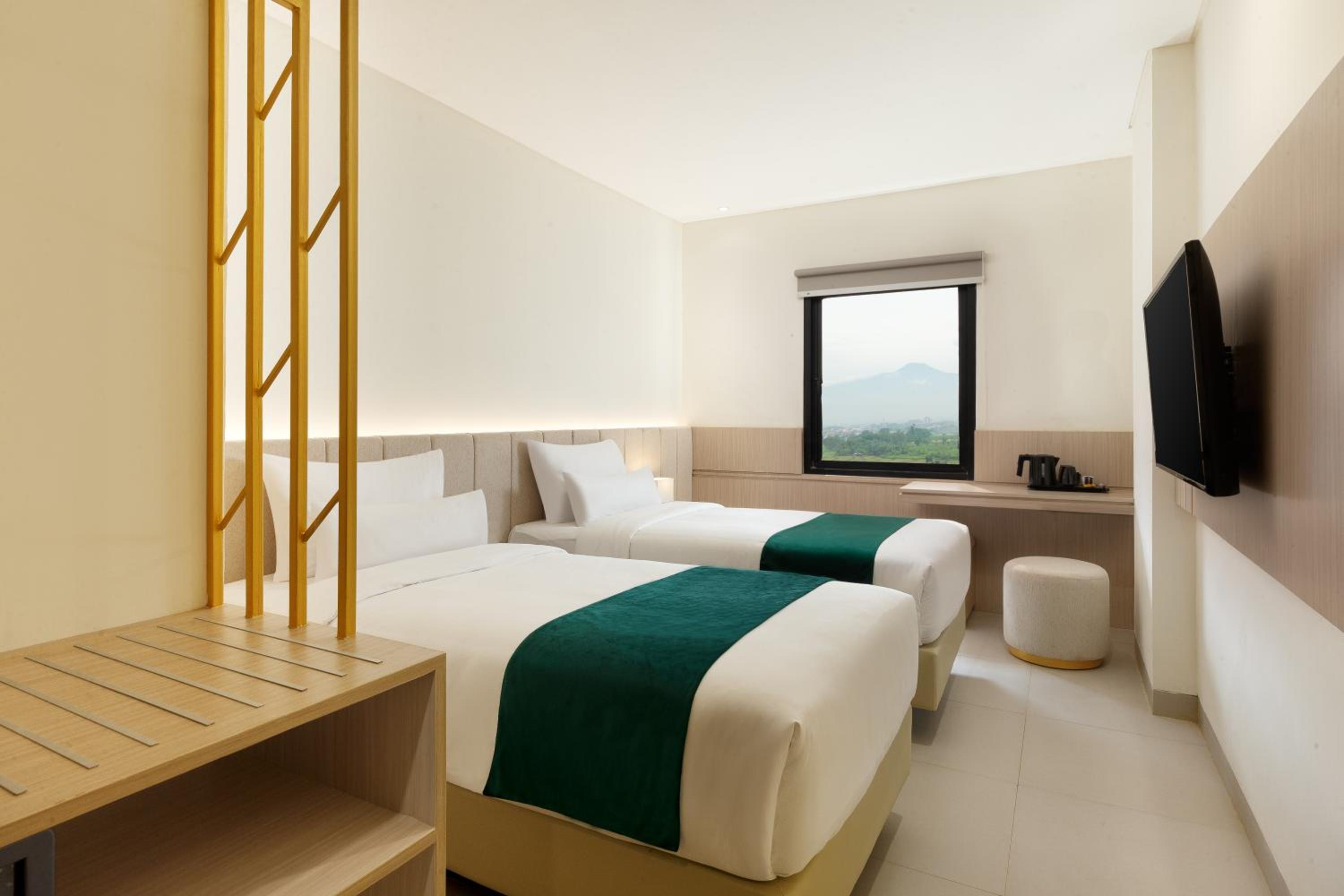 Superior Double or Twin Room photo 3