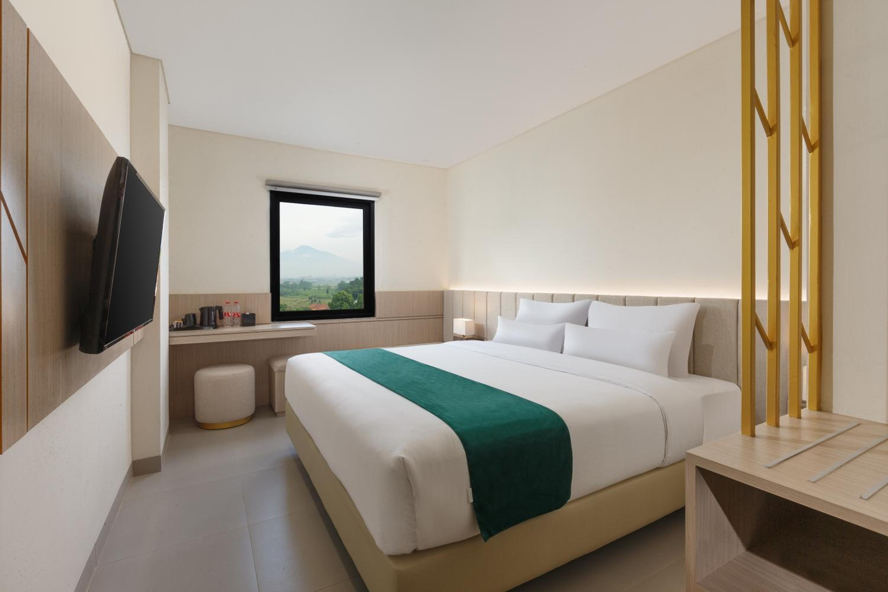 Superior Double or Twin Room photo 1