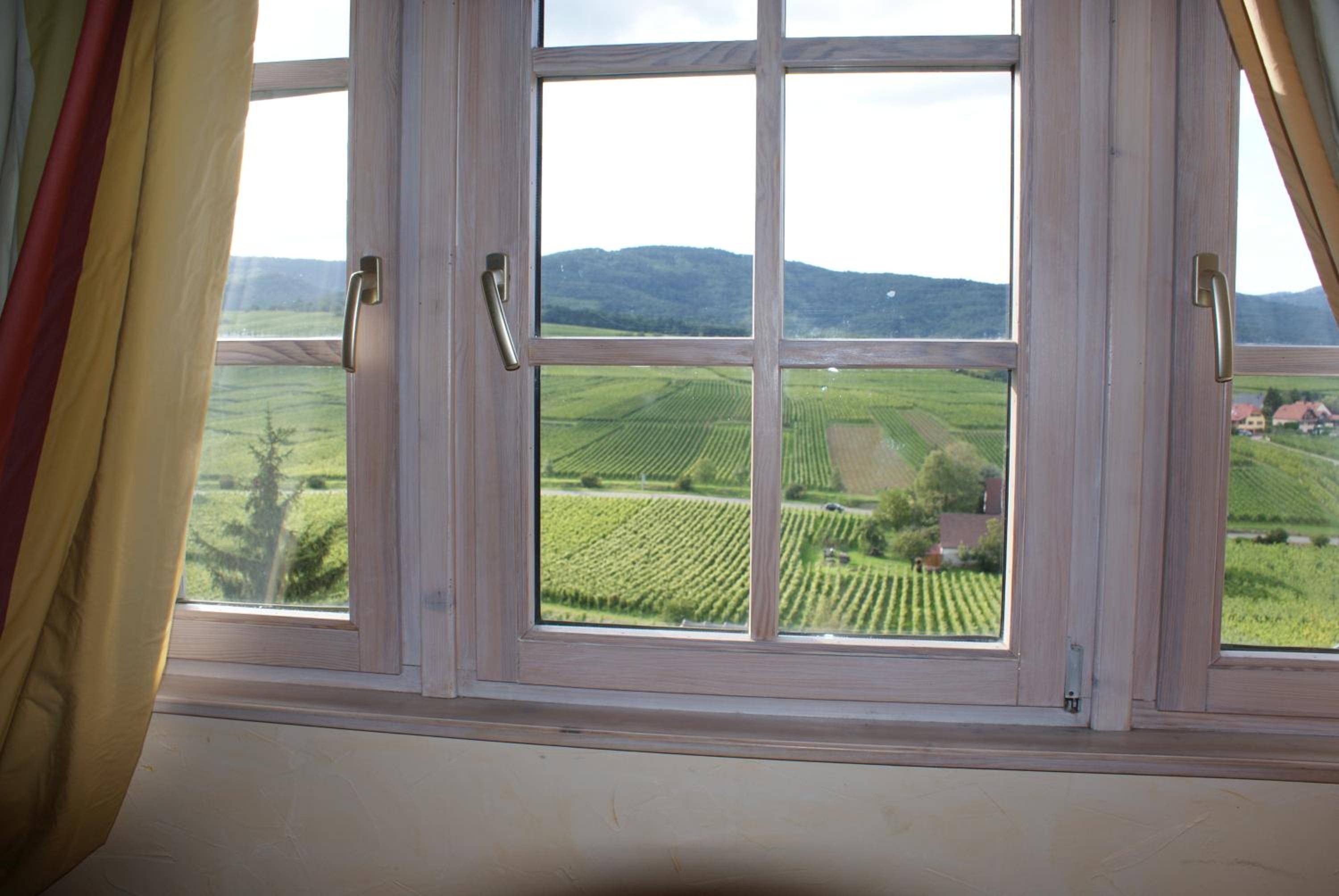 Suite - Photo 27