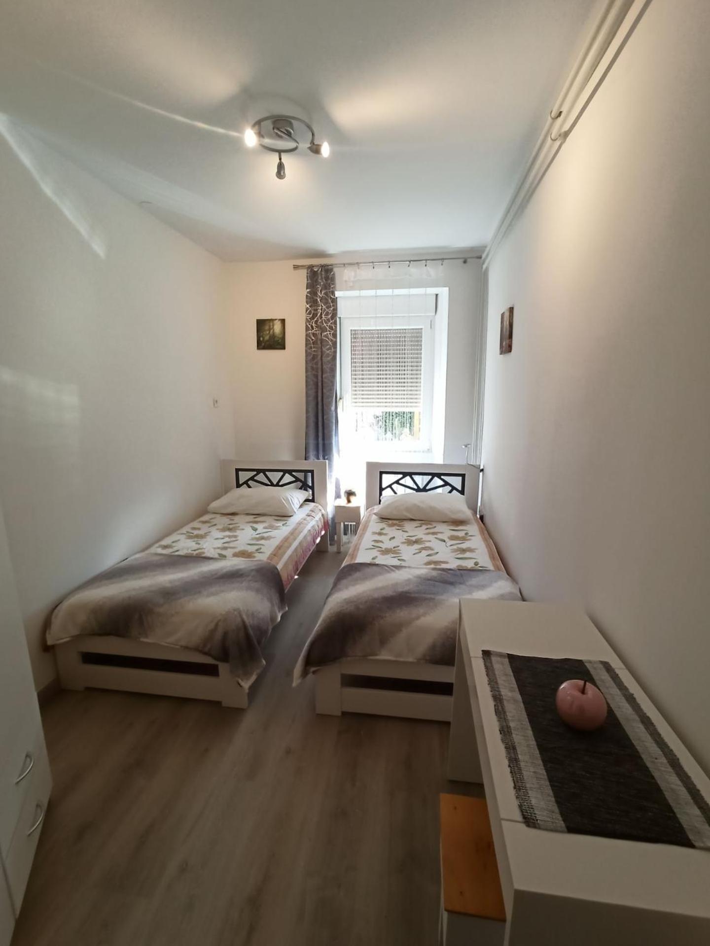 Apartment with Terrace photo 1