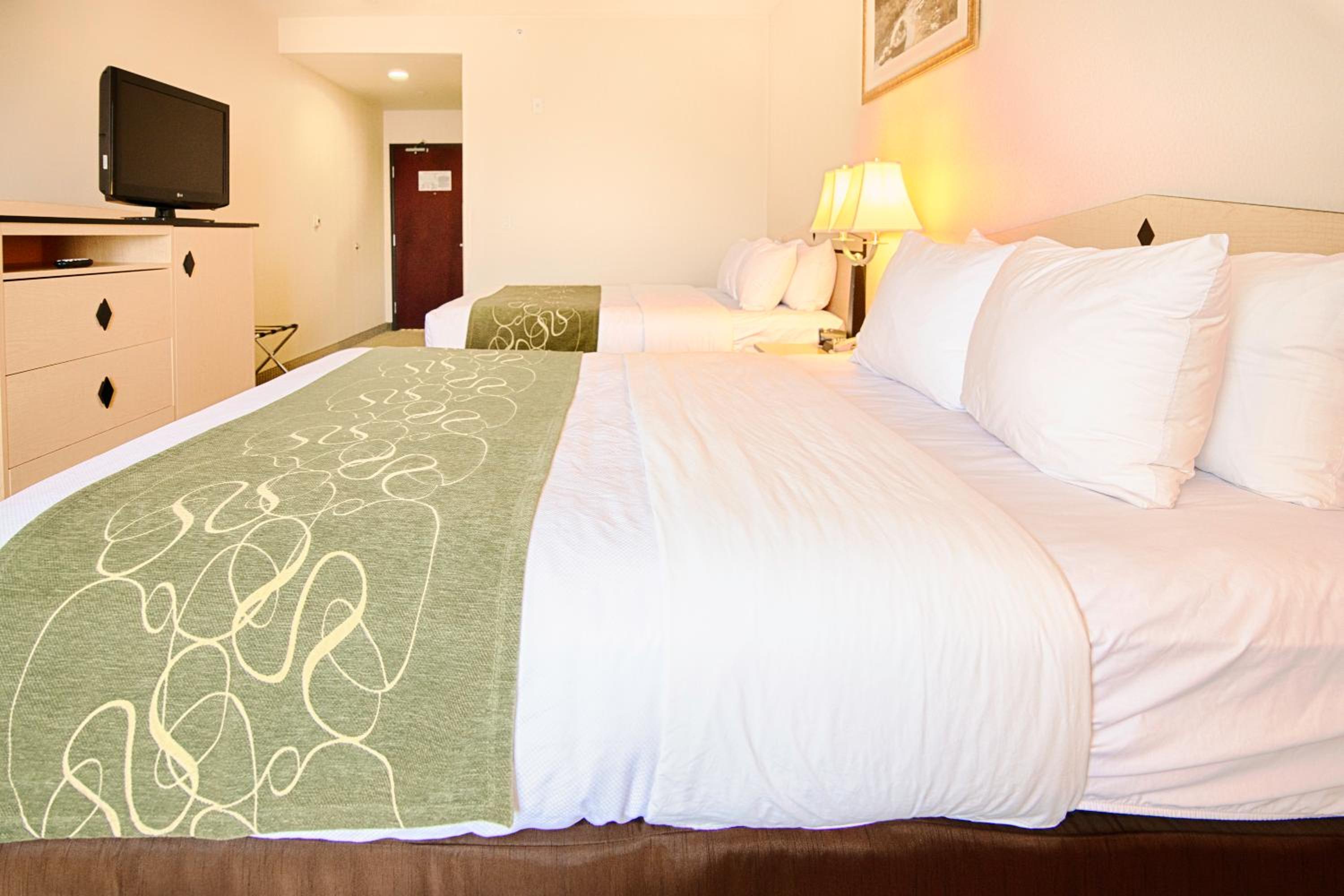 Queen Room with Two Queen Beds - Non-Smoking - Photo 1