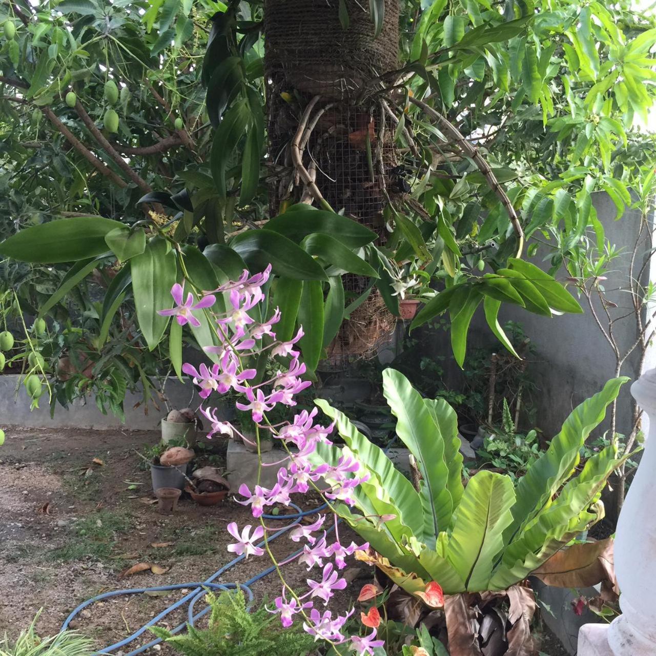 Deluxe Double Room With Balcony photo 2