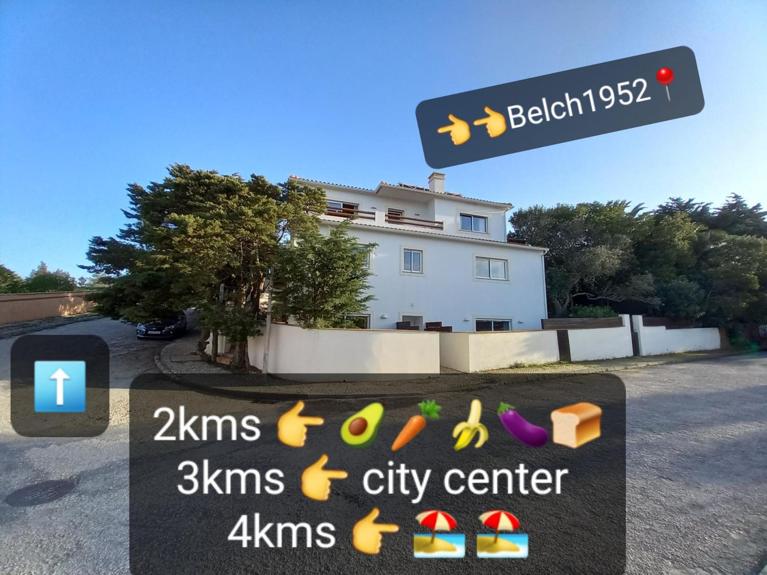 Apartment with Terrace photo 2
